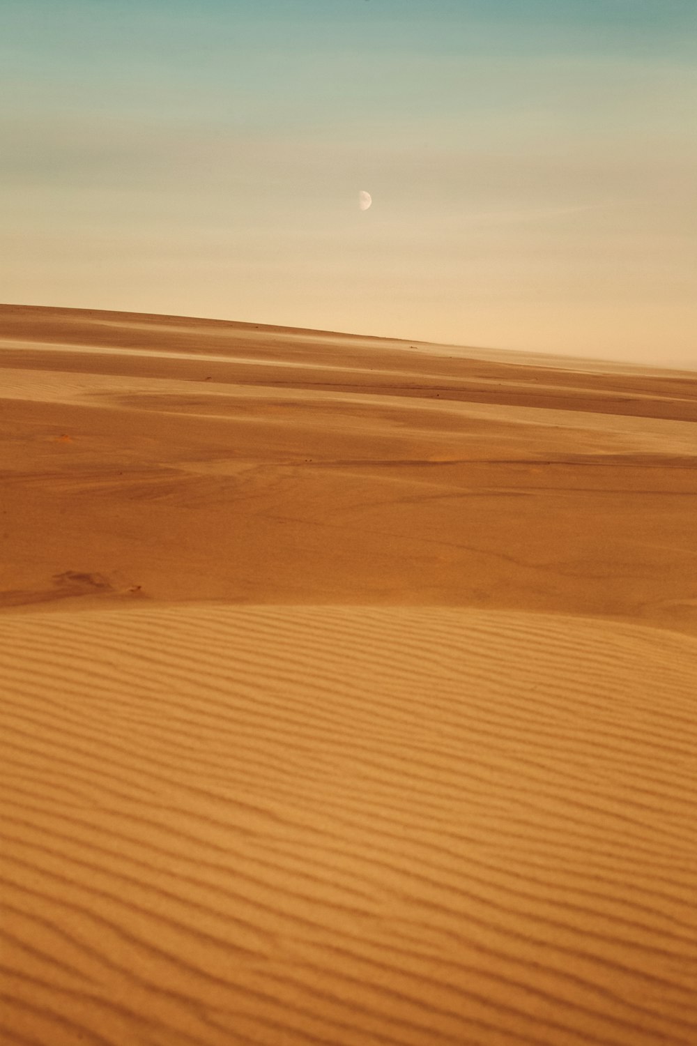 멀리 달이 있는 사막 풍경