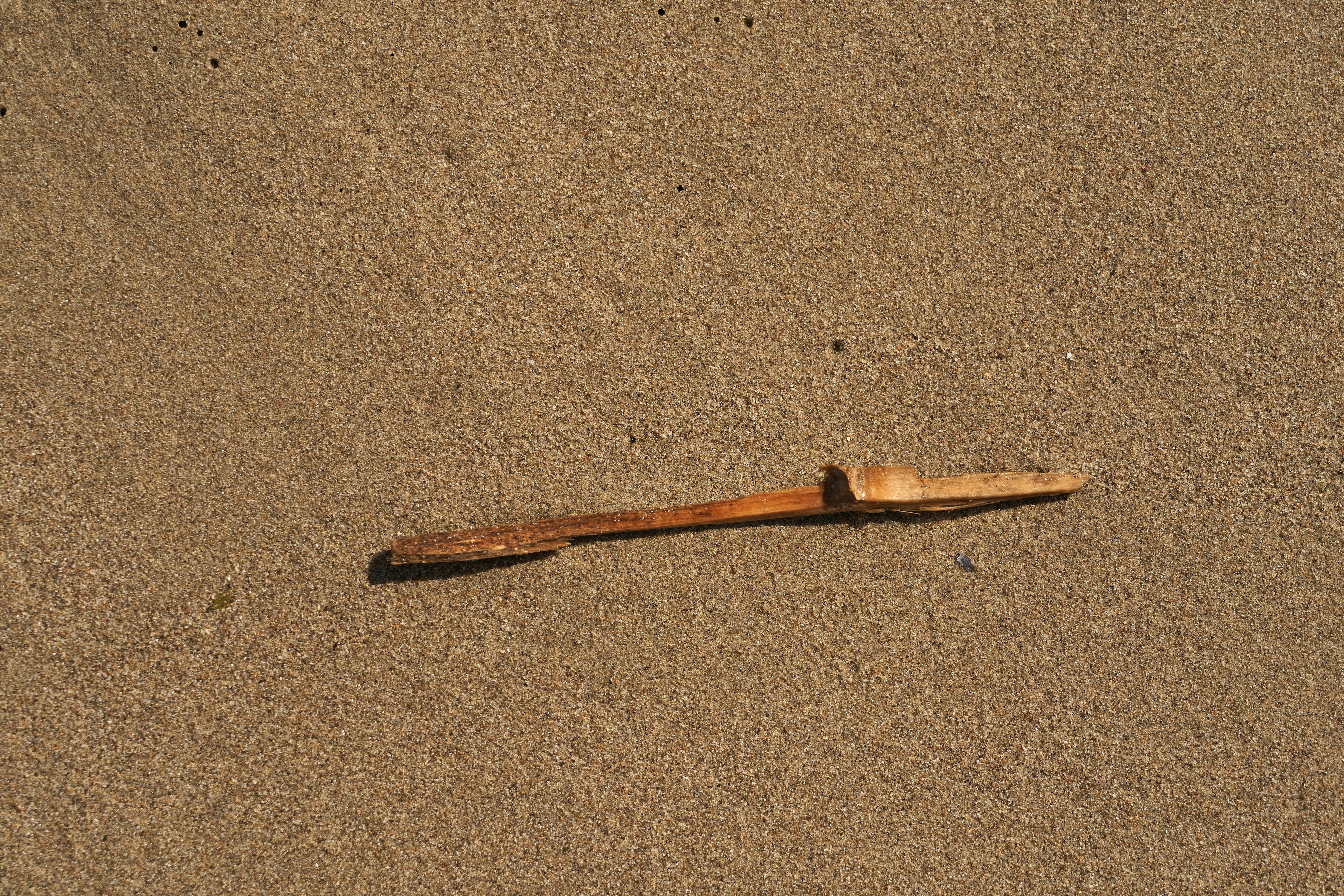 Photo by wolfgang_hasselmann