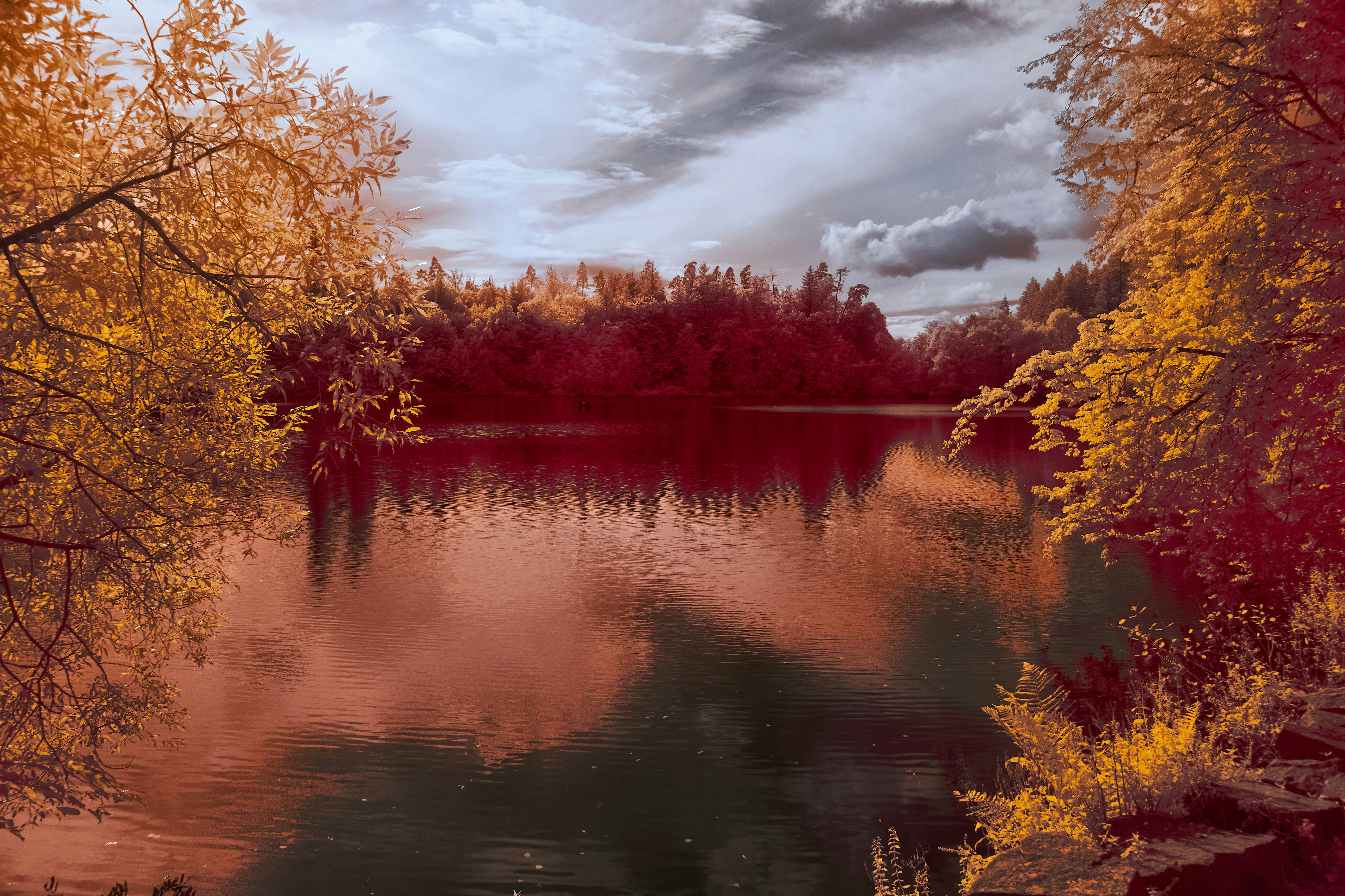 Photo by wolfgang_hasselmann