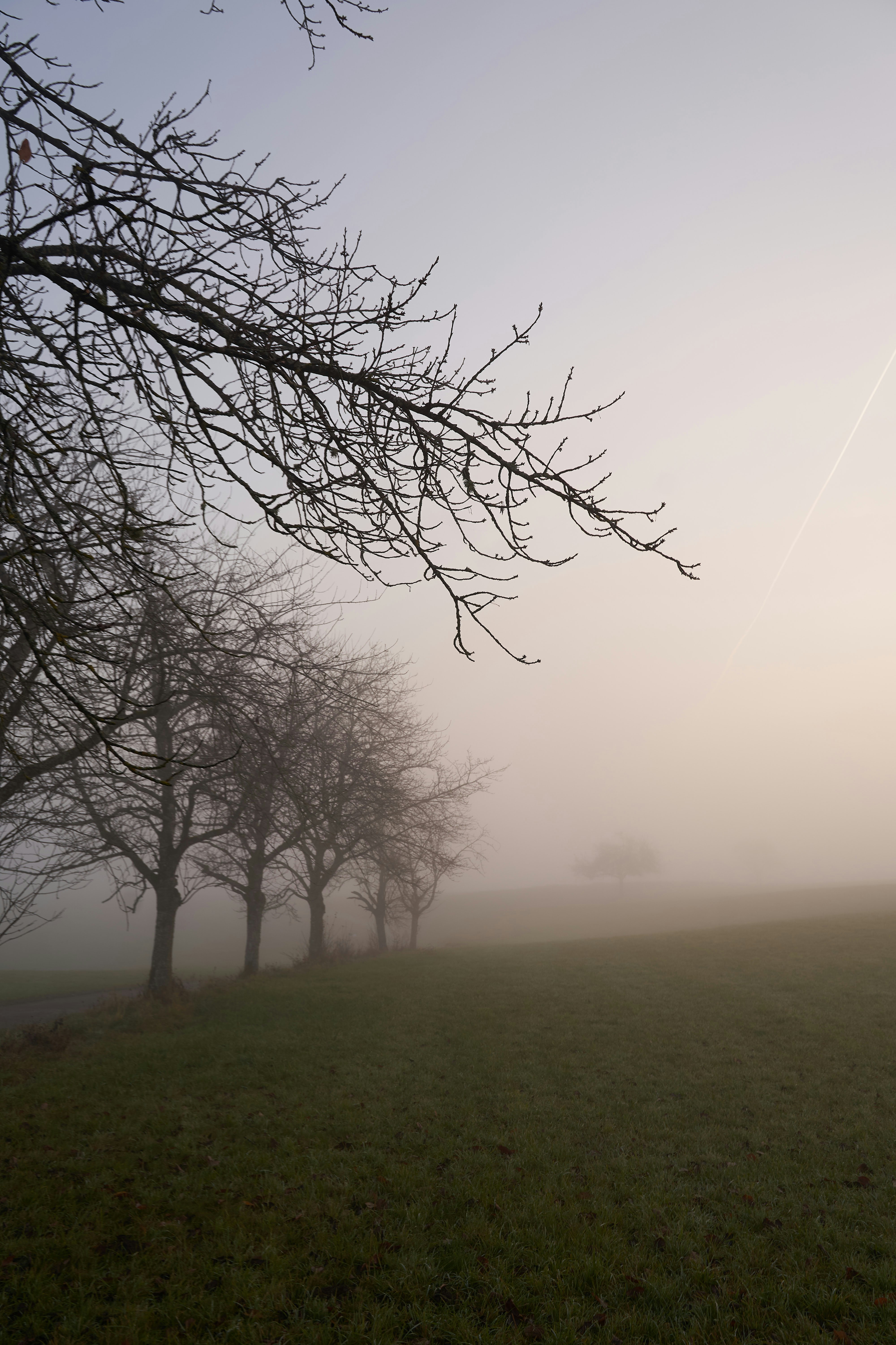 Photo by wolfgang_hasselmann