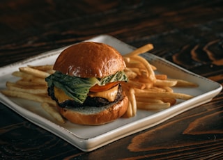 The Perfect Cheeseburger 🍔 2/2 (IG: @clay.banks)