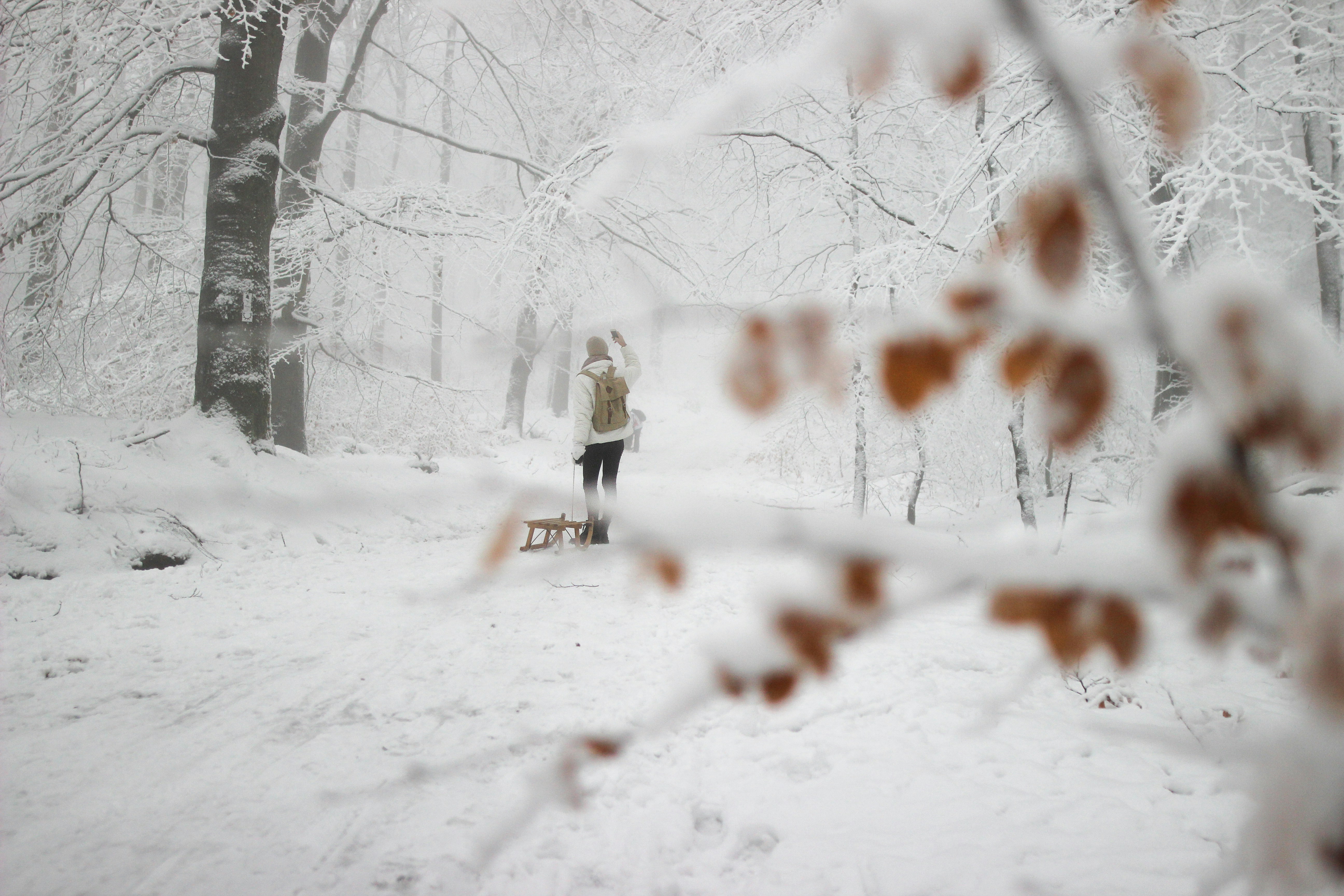 a person walking through a snow covered forest