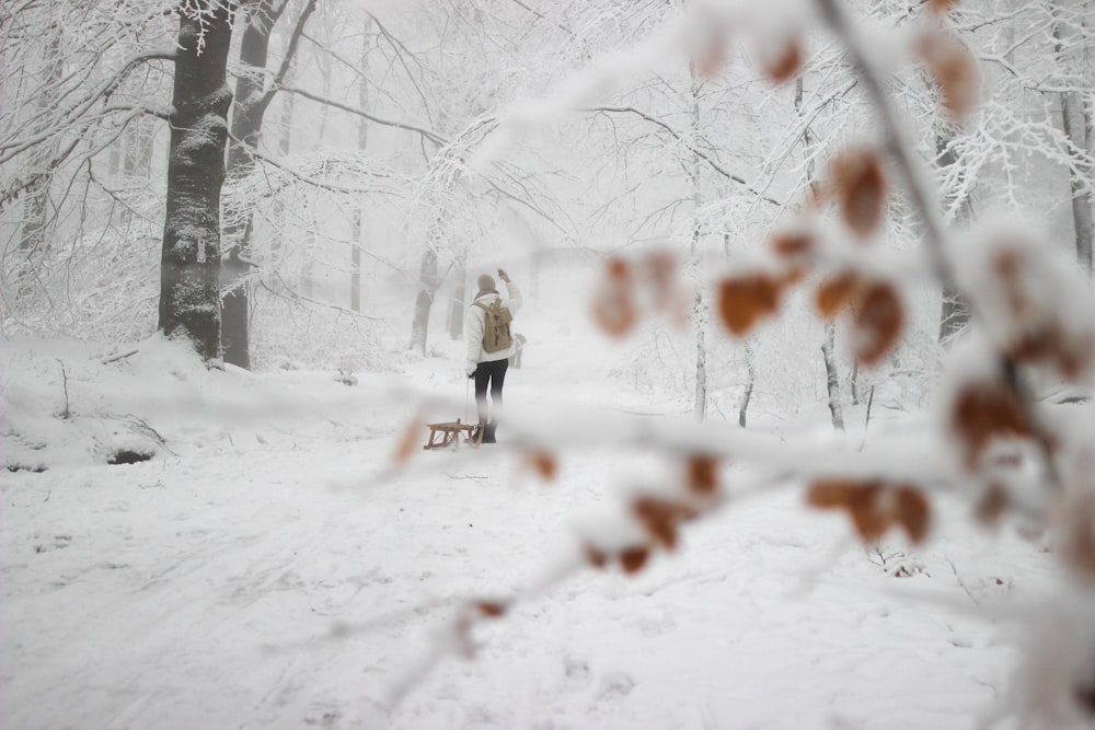 a person walking through a snow covered forest