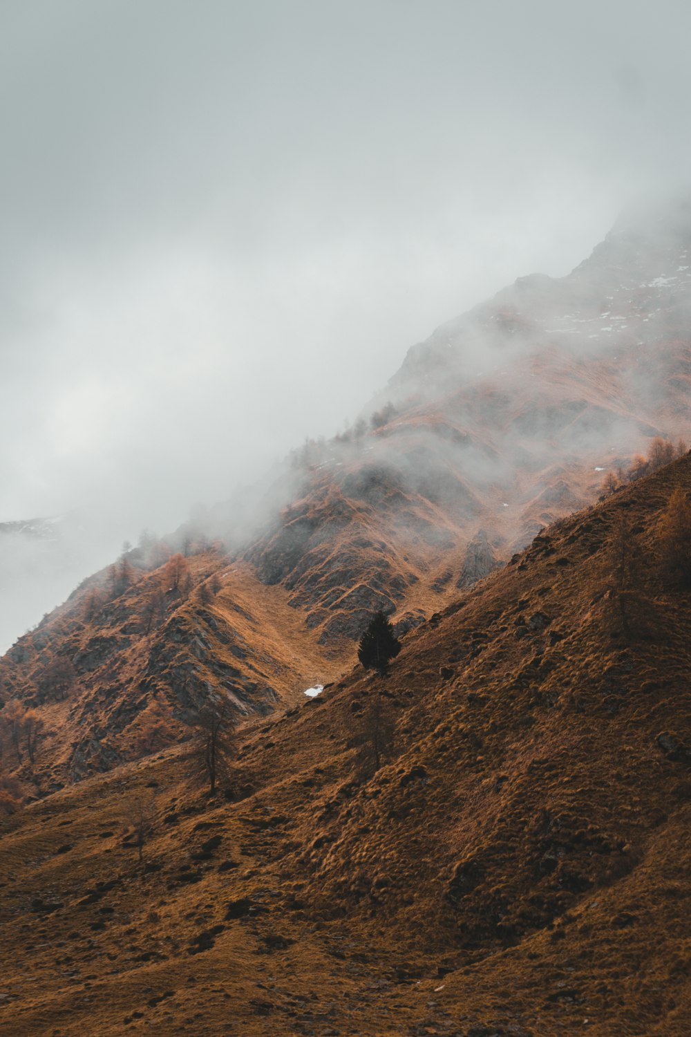 a mountain covered in fog with a single tree