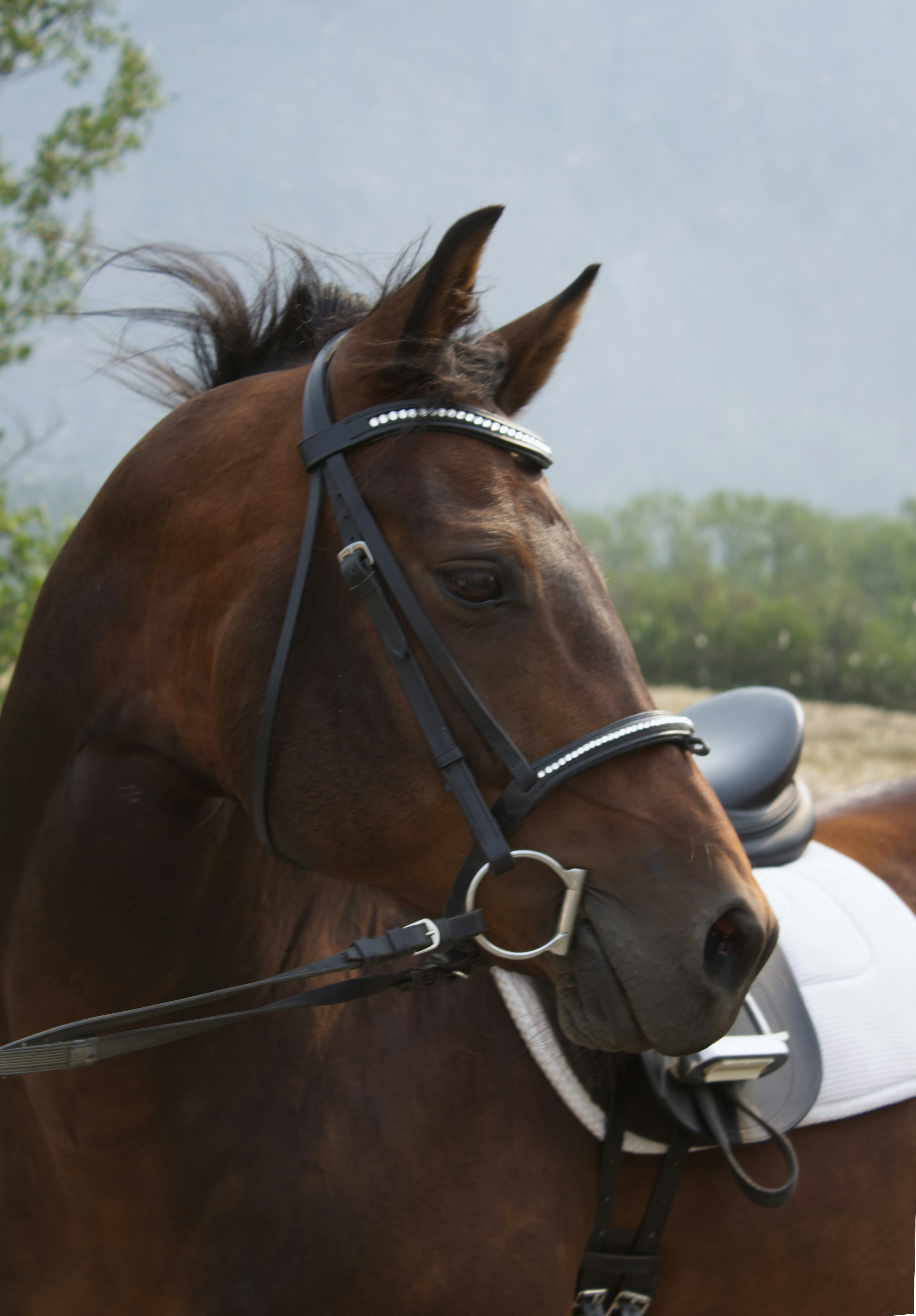 Photo by frozenmoments