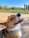 A joyful family singing along with their dog in a sunny park.