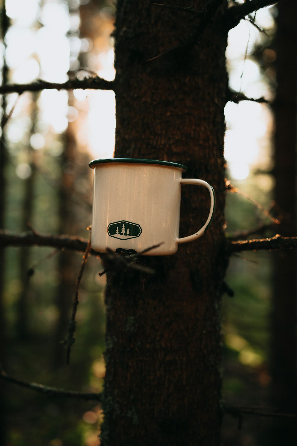 a cup hanging from a tree in the woods