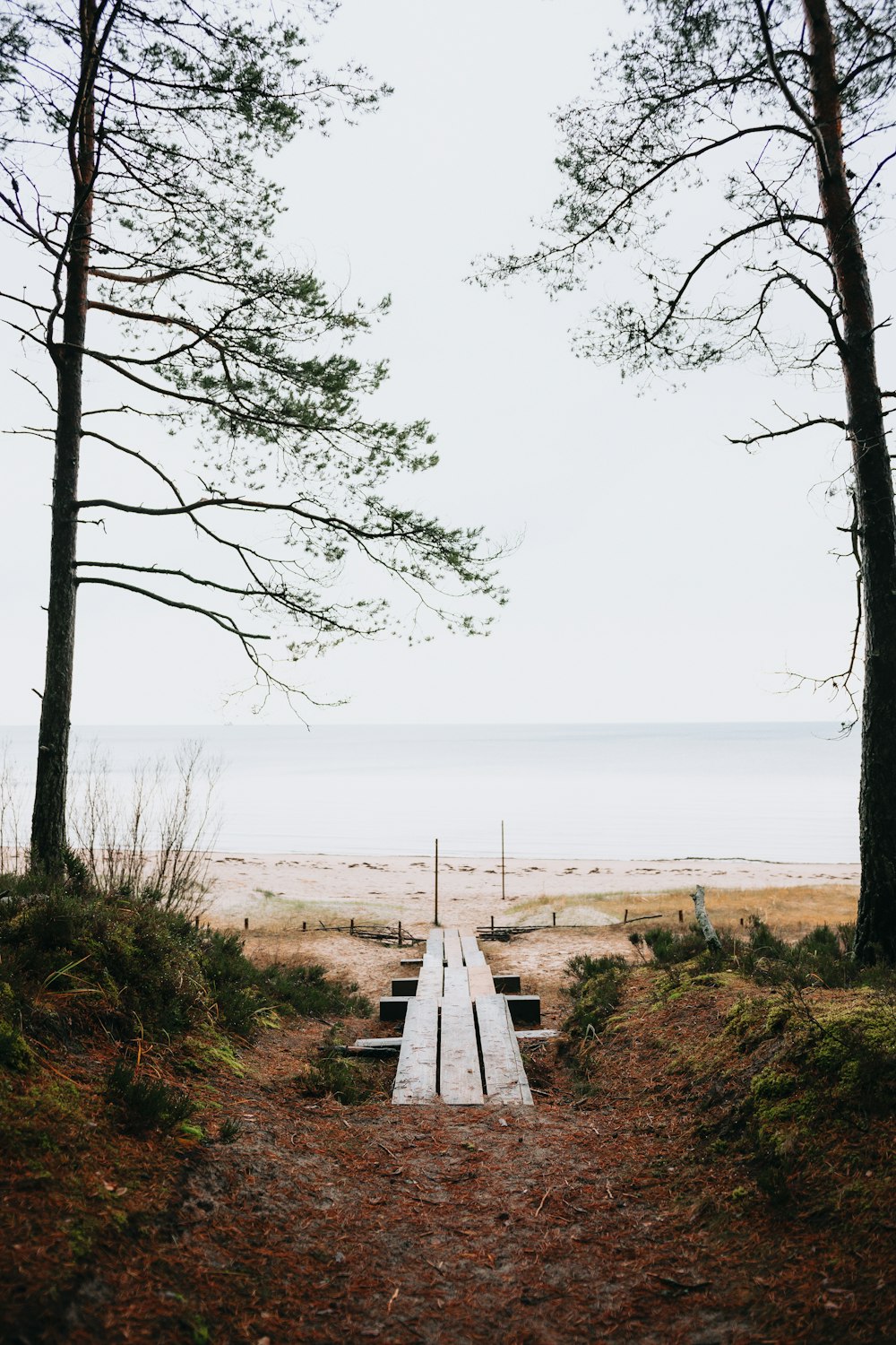 a wooden bench sitting in the middle of a forest