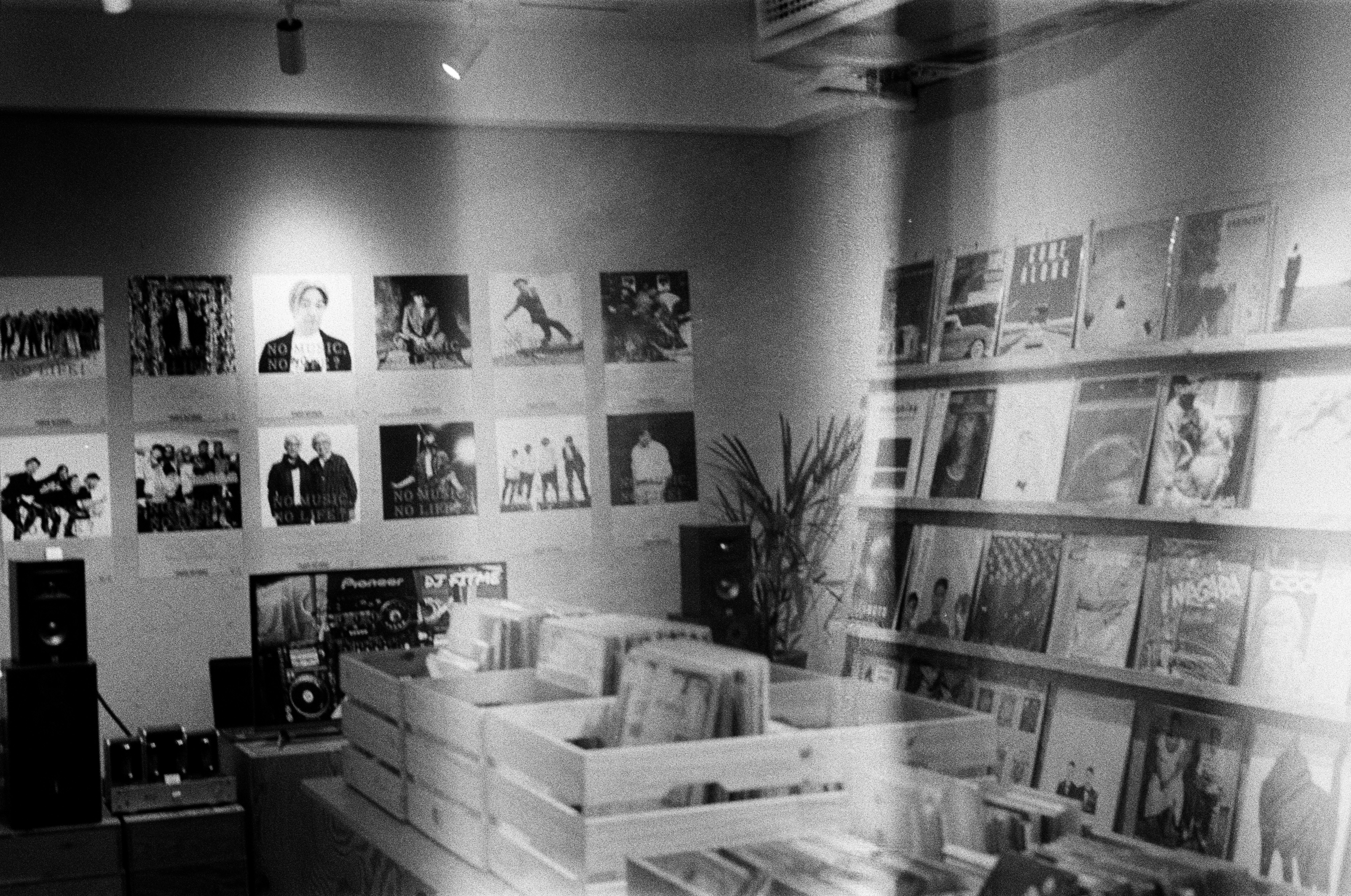 Skunter USA Apparel Collection