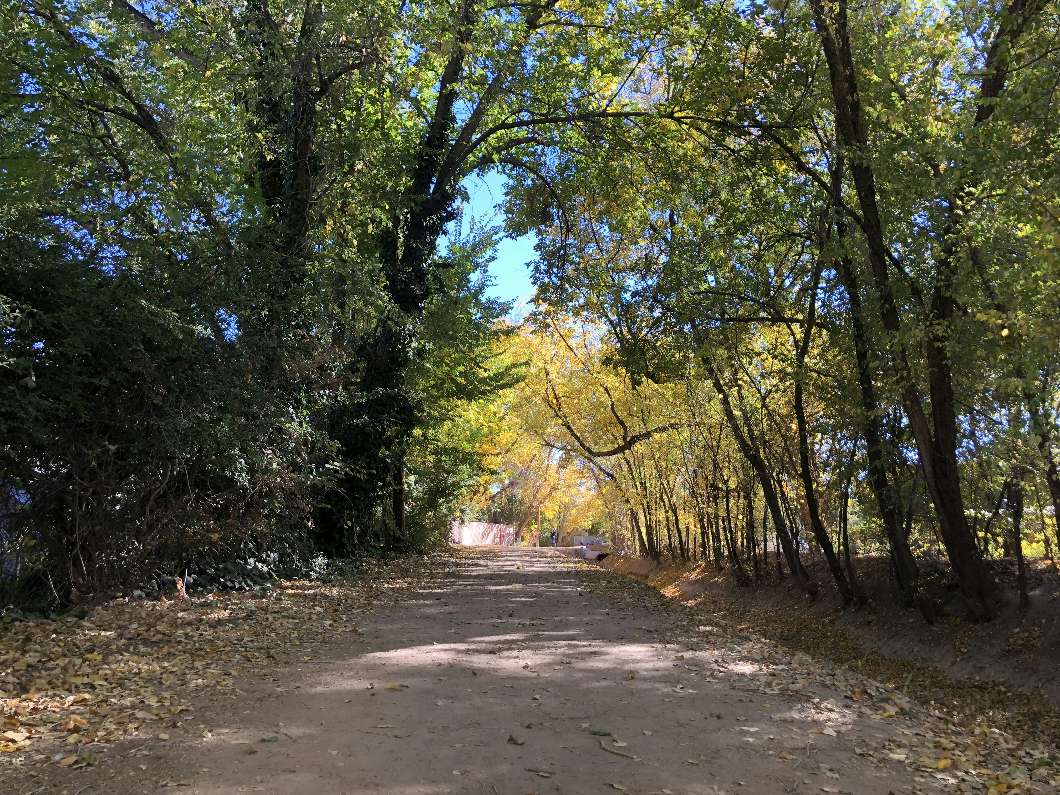 Photo by peareclarcher3