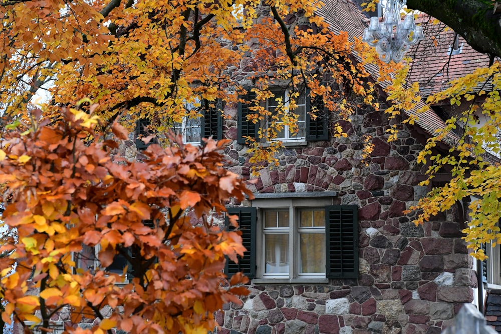 a stone building with a window and a tree in front of it