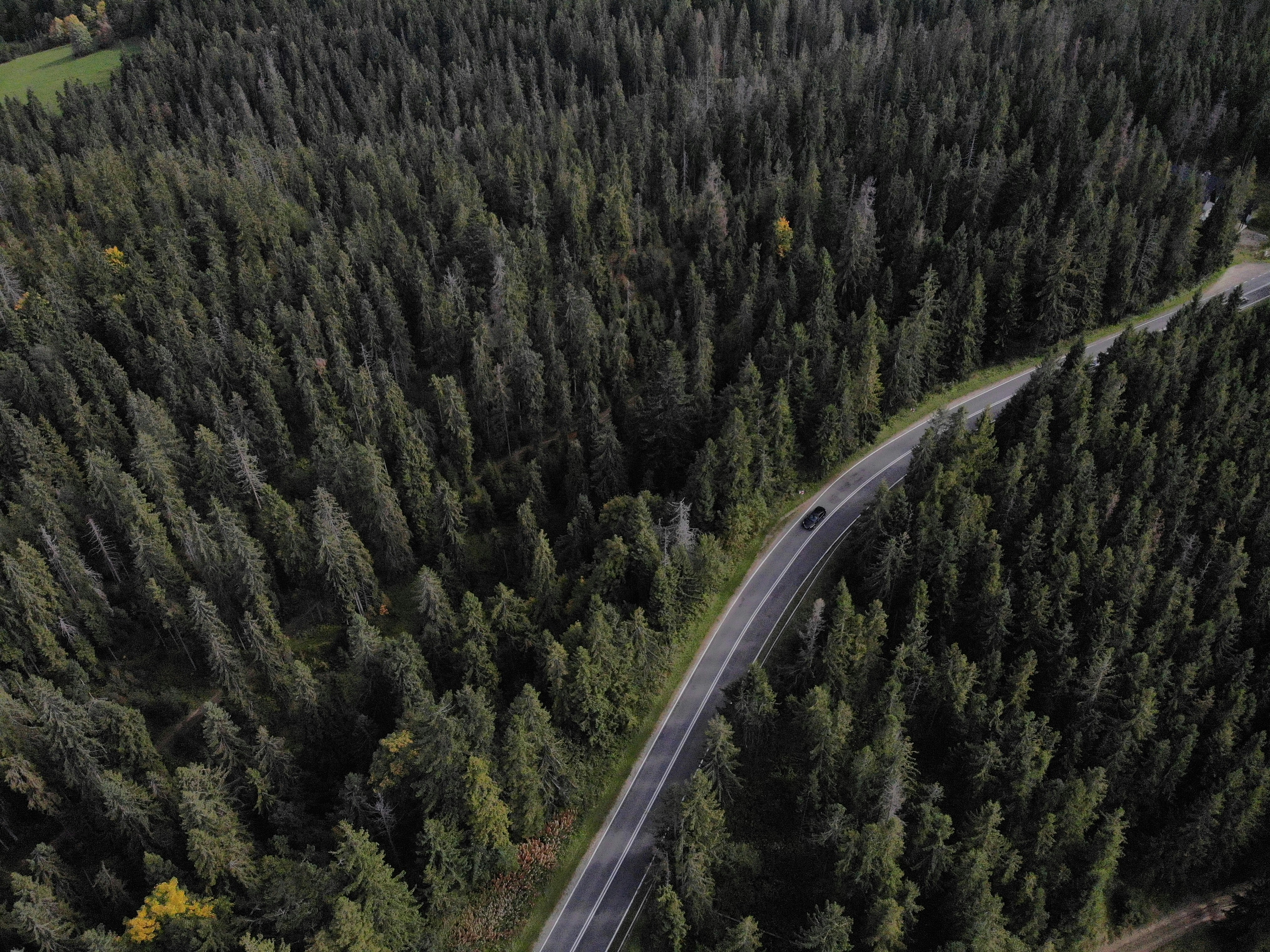 Photo by tomaltomasz