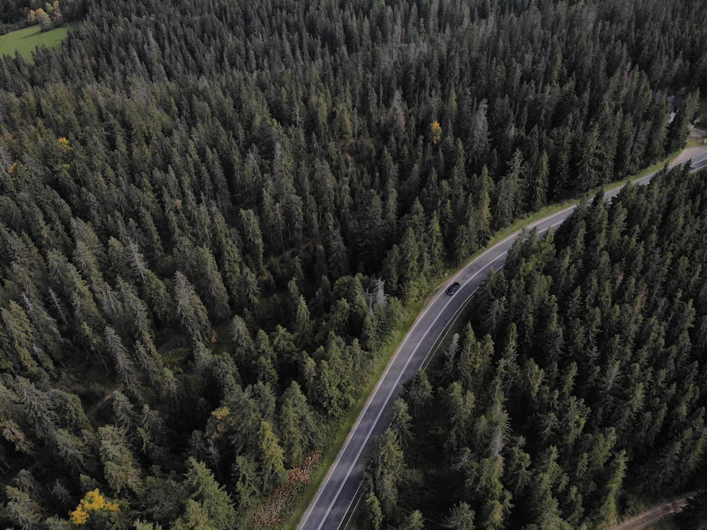 an aerial view of a road in the middle of a forest