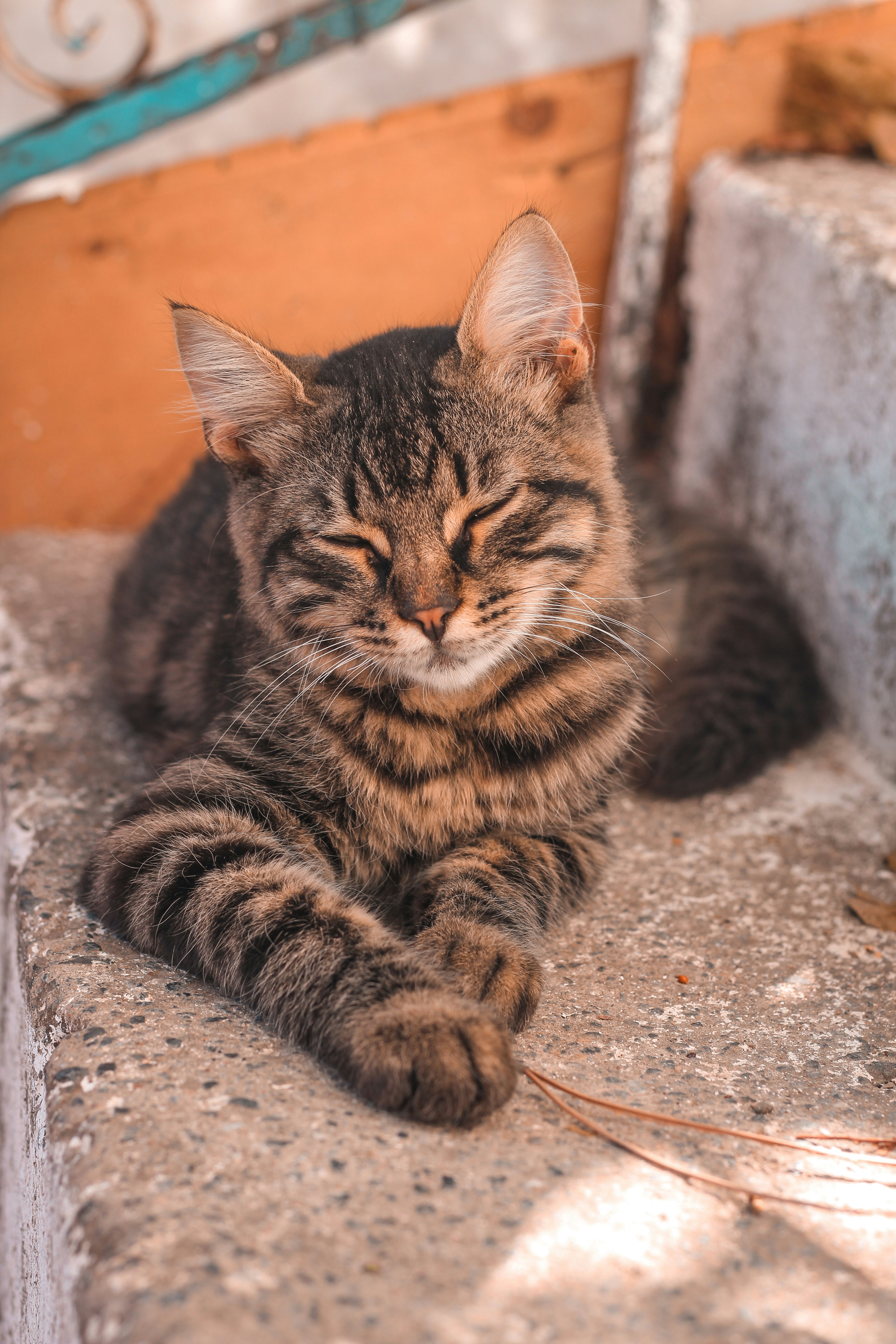 Photo by nedim_vural