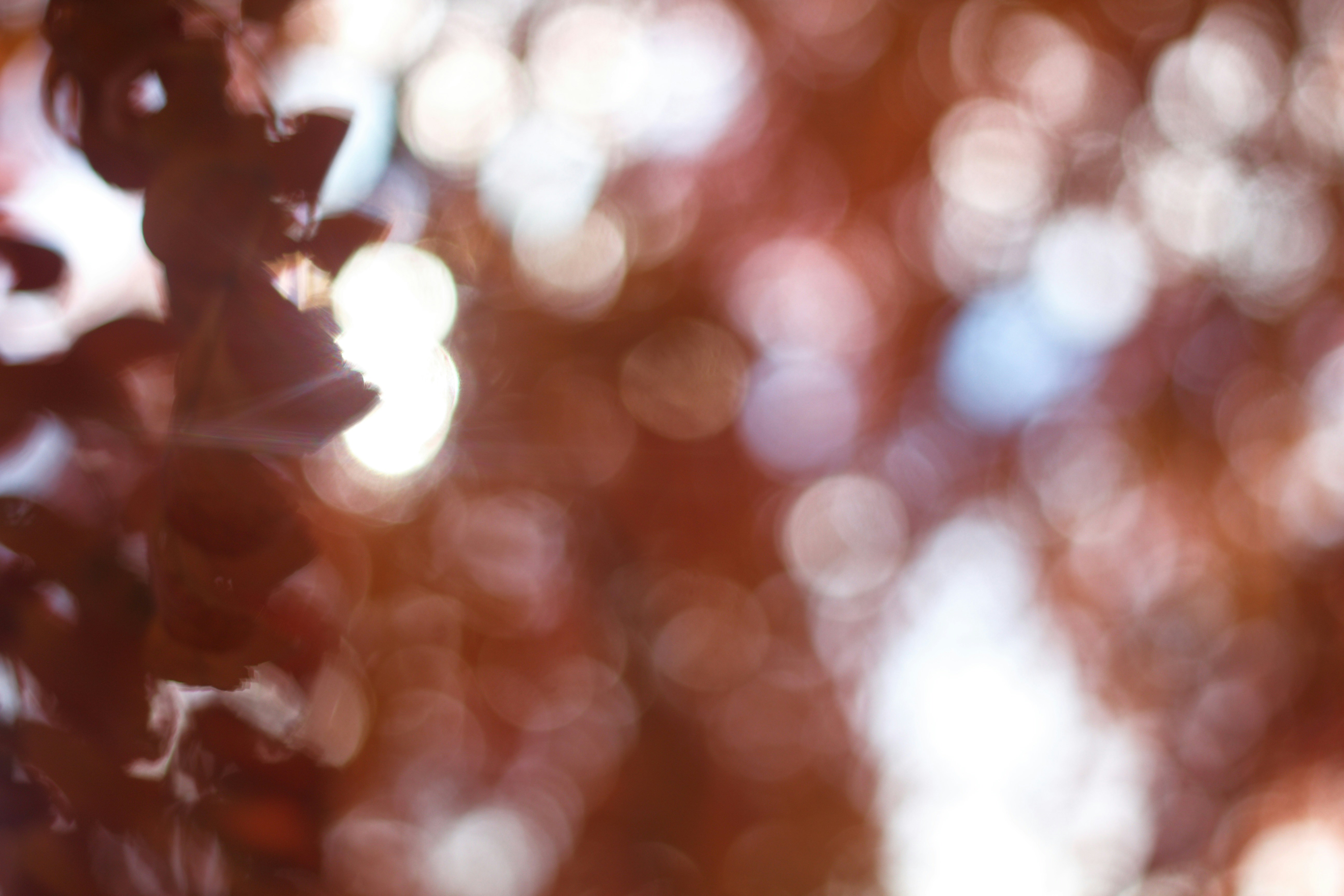 Photo by joshua_hoehne