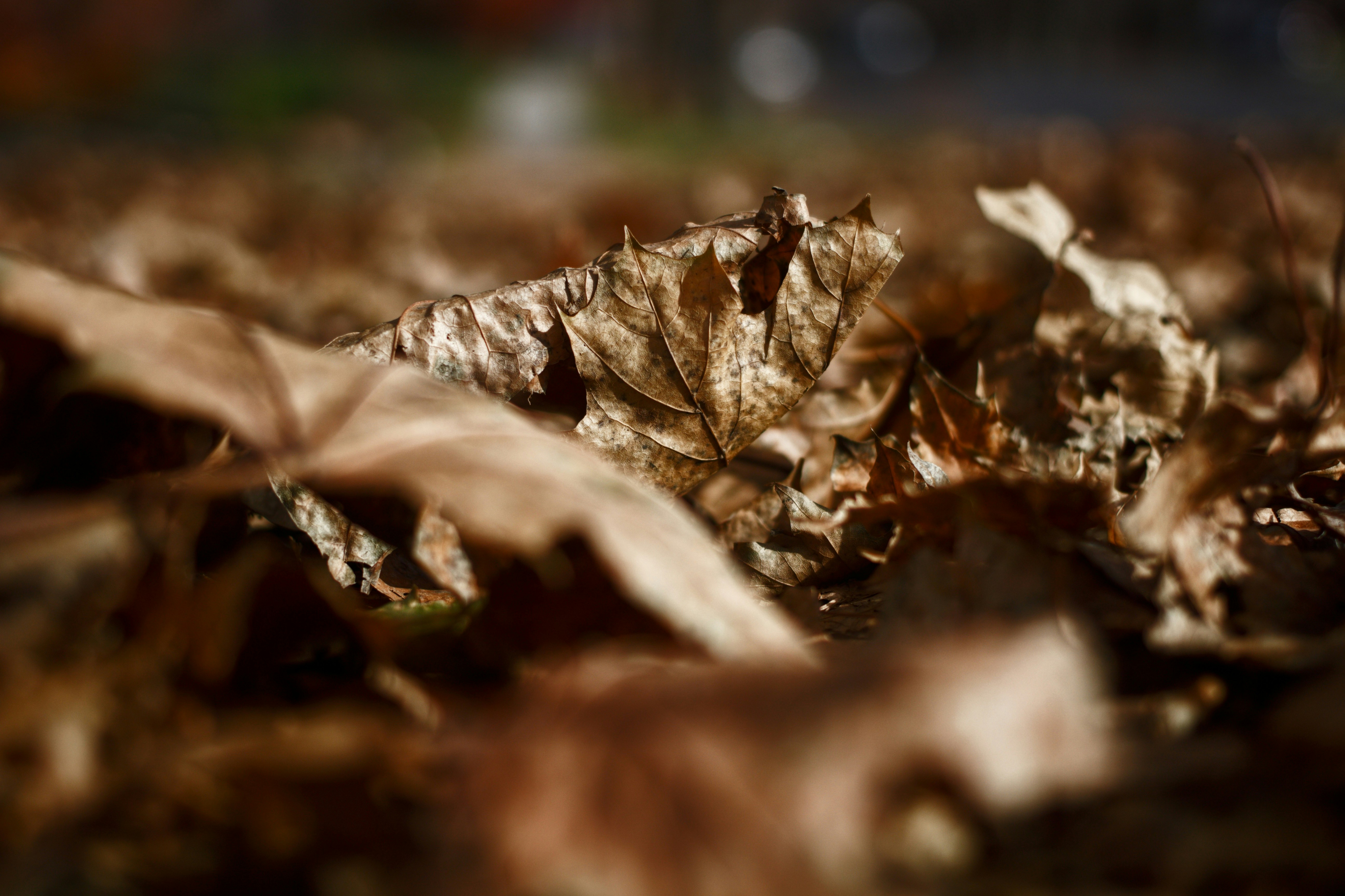 Photo by joshua_hoehne