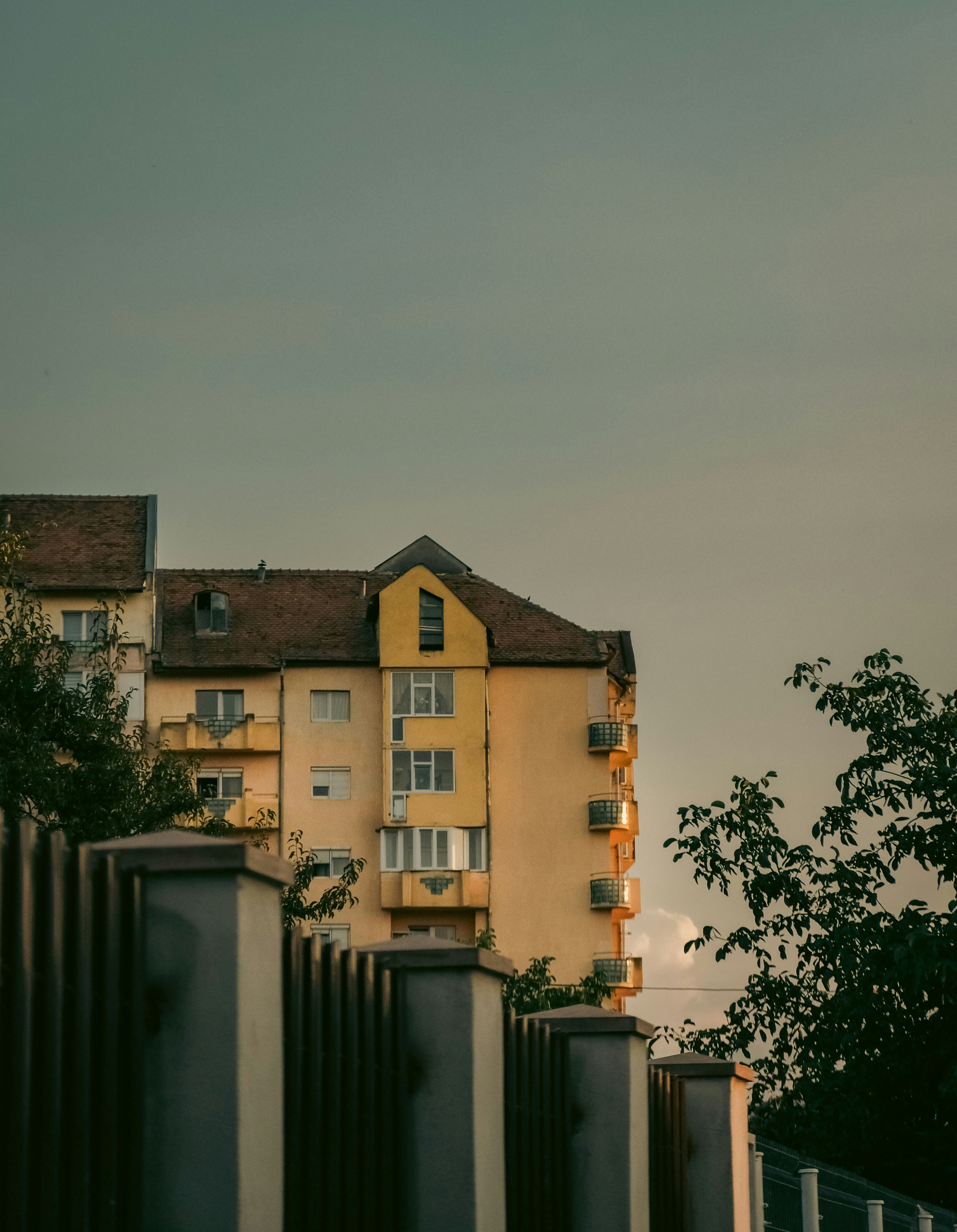 Photo by isabeladrasovean