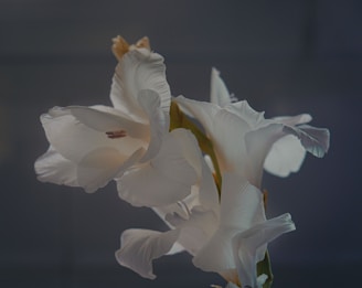 A textured painting depicting delicate floral patterns with subtle shades of white and pale pink.