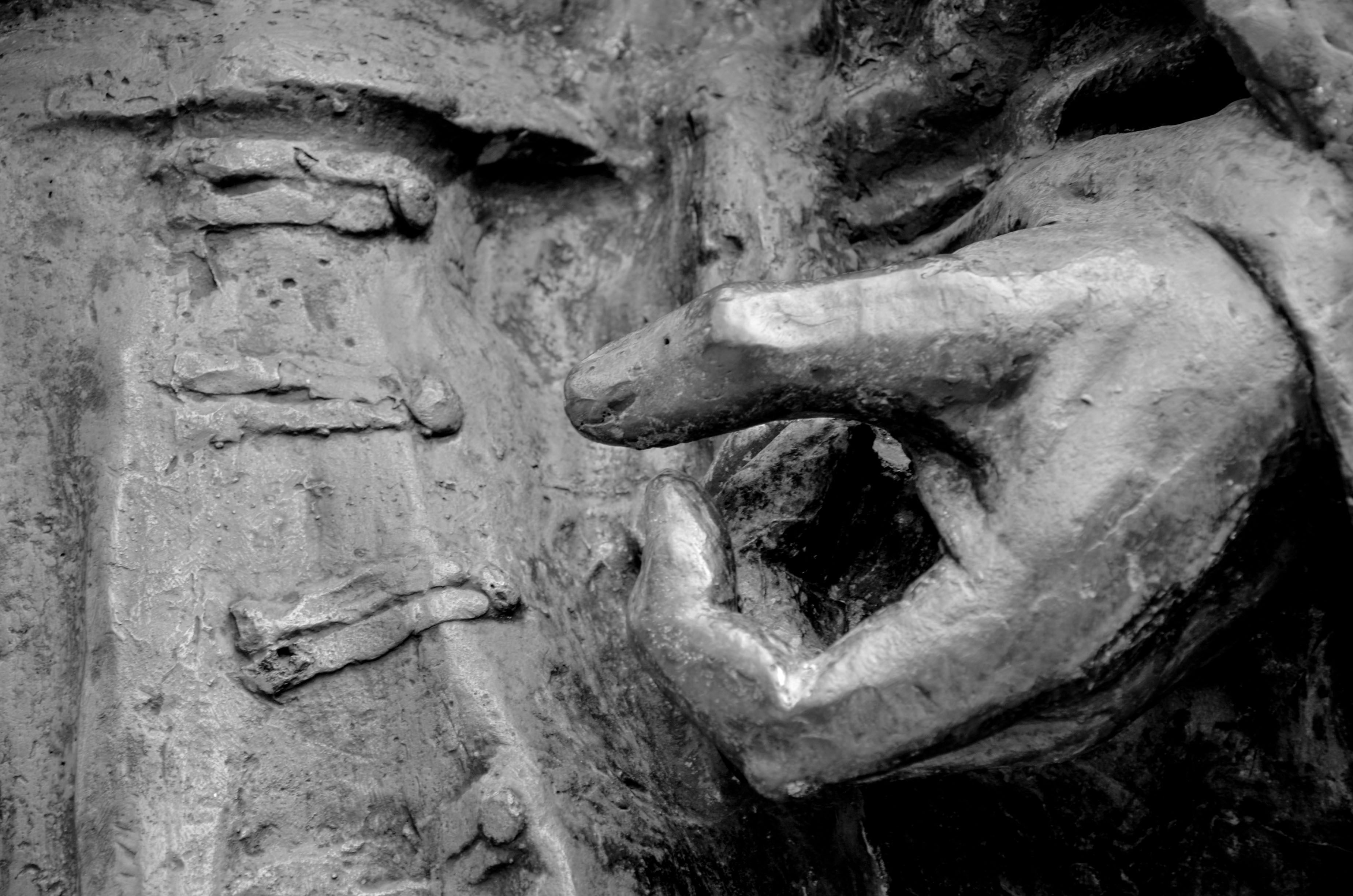 Photo by andersonnikon