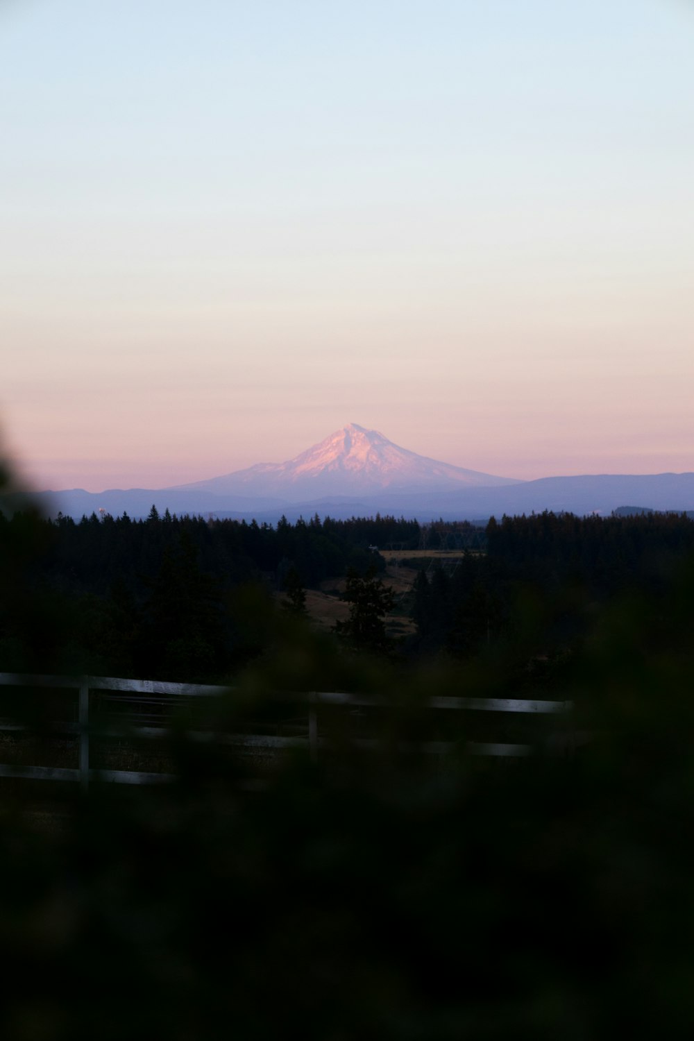 a view of a mountain with trees in the foreground