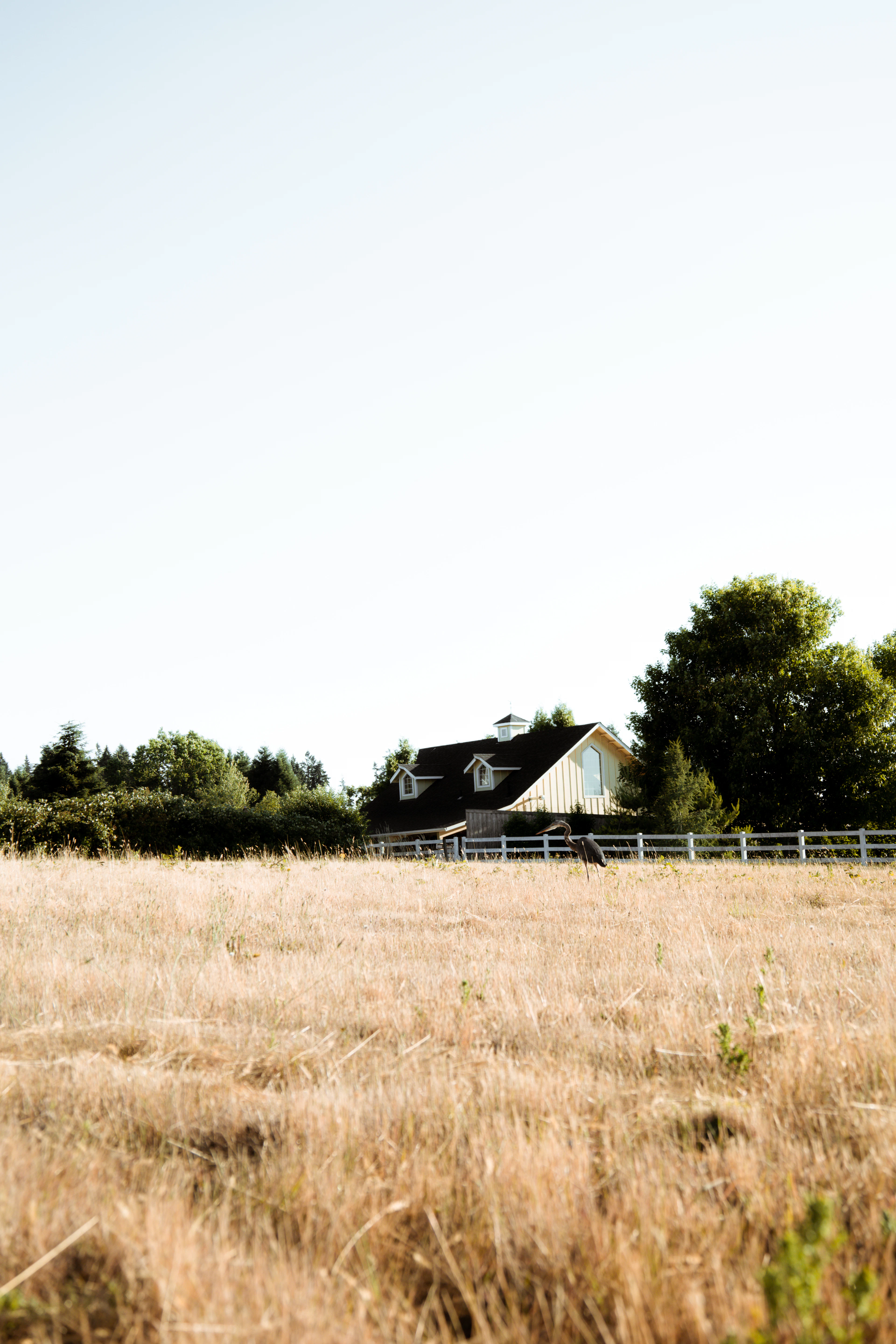 Rental Homes junk removal in Fuquay-Varina, NC