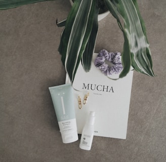 a plant and some skin care products on a table