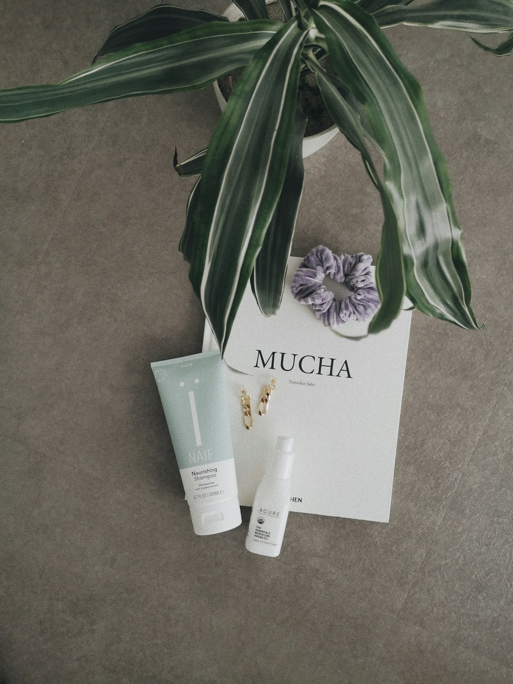 a plant and some skin care products on a table