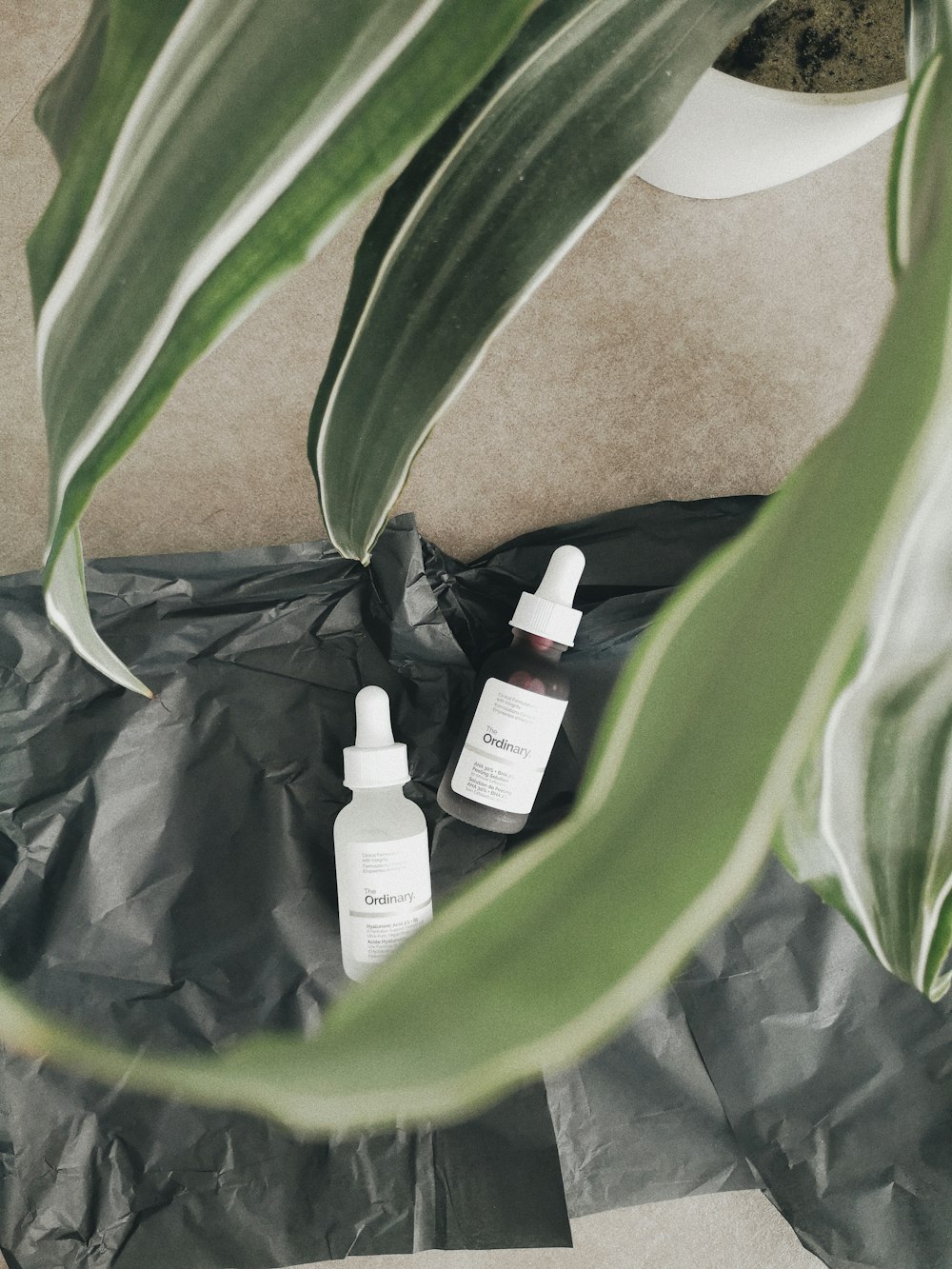 two bottles of skin care sitting next to a plant