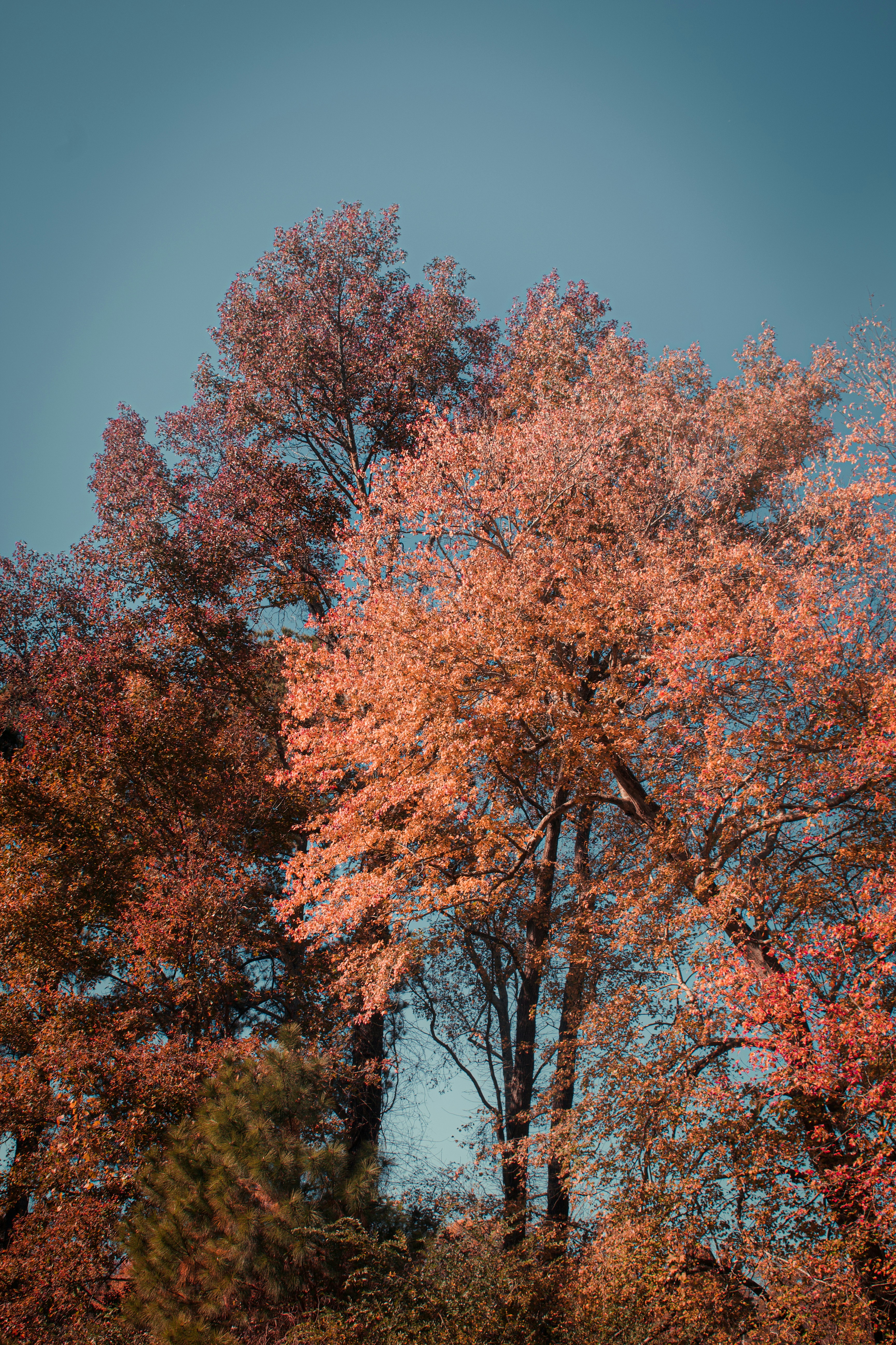 Photo by millymontoya8