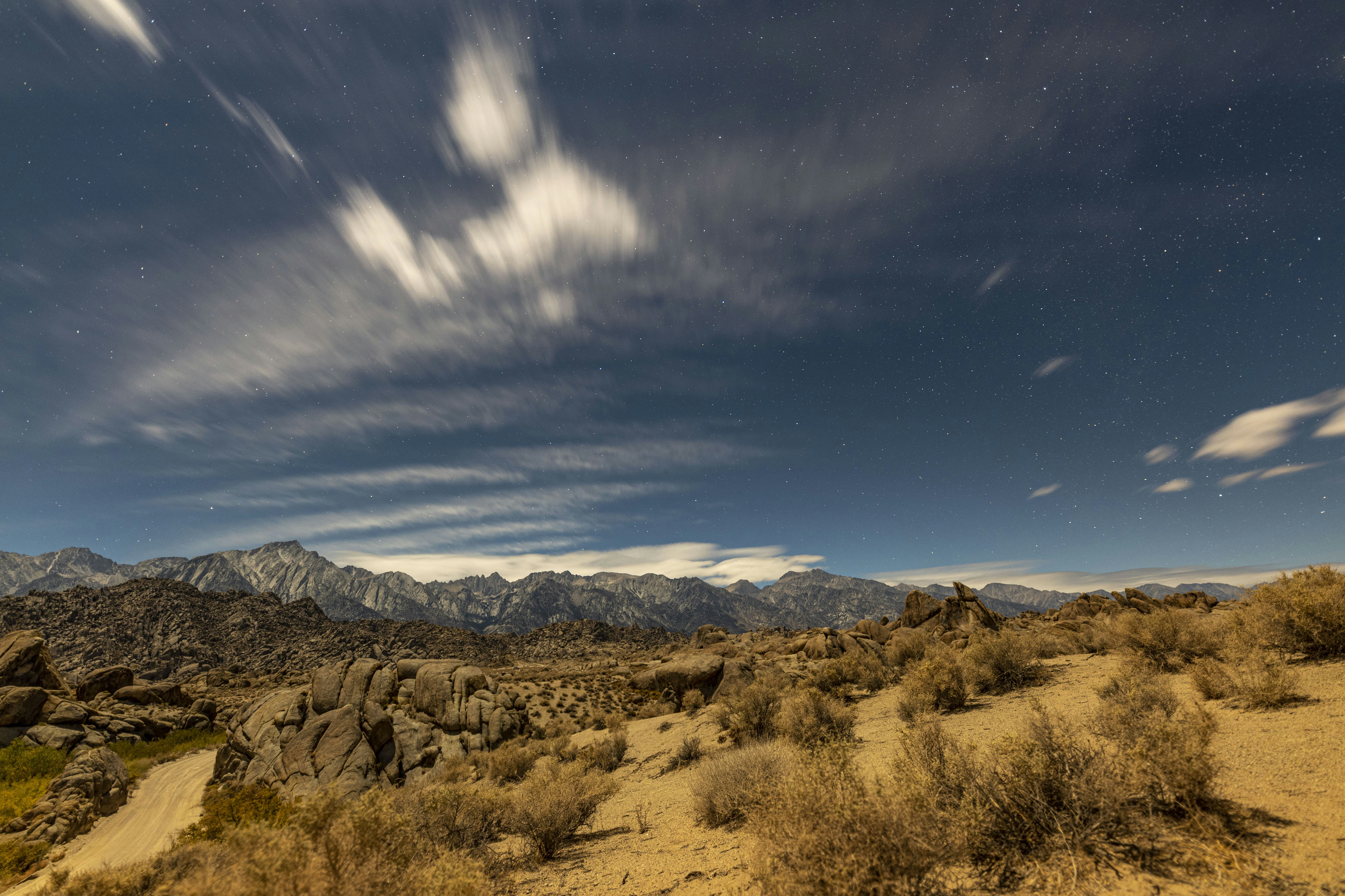 Photo by leo_visions_