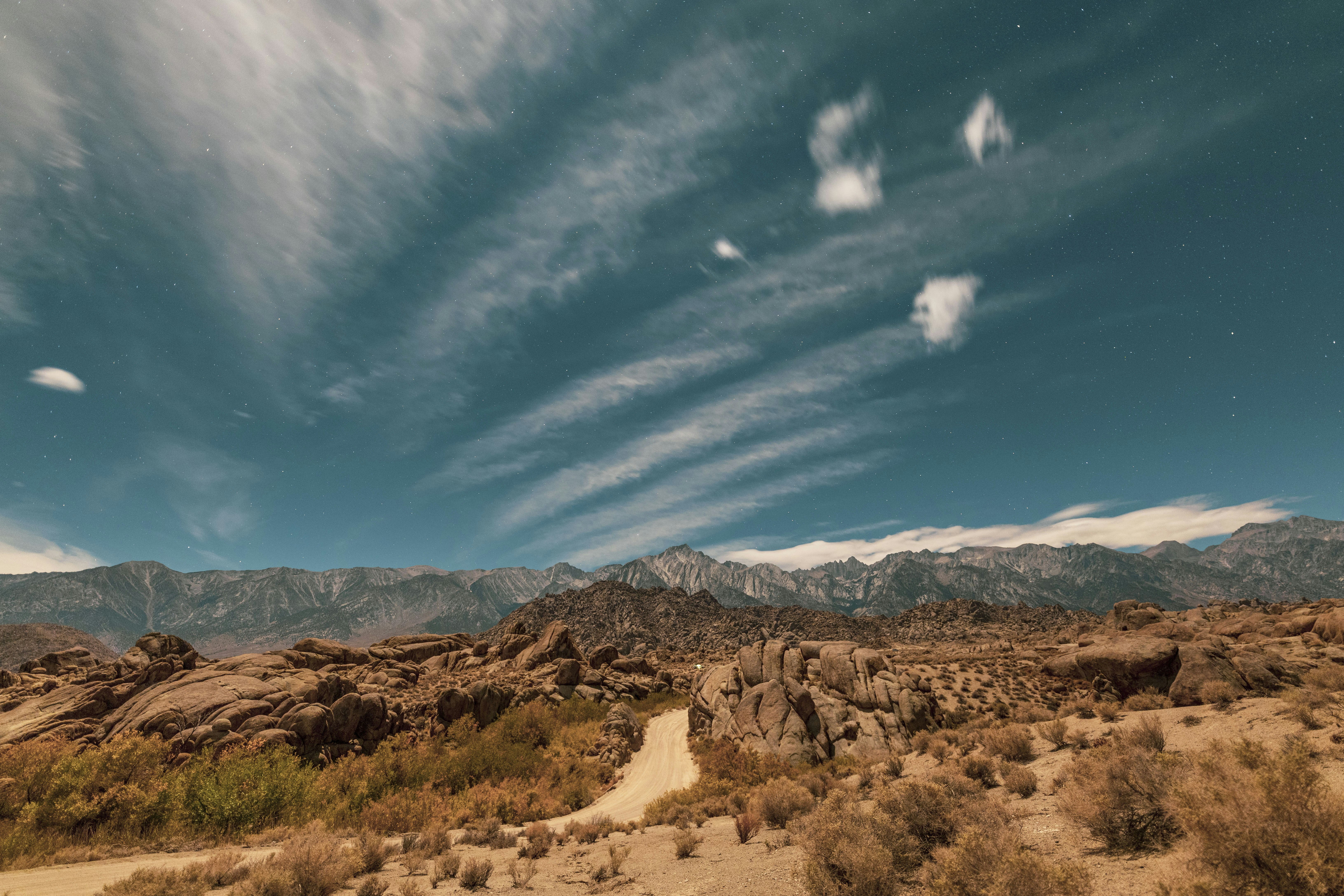 Photo by leo_visions_