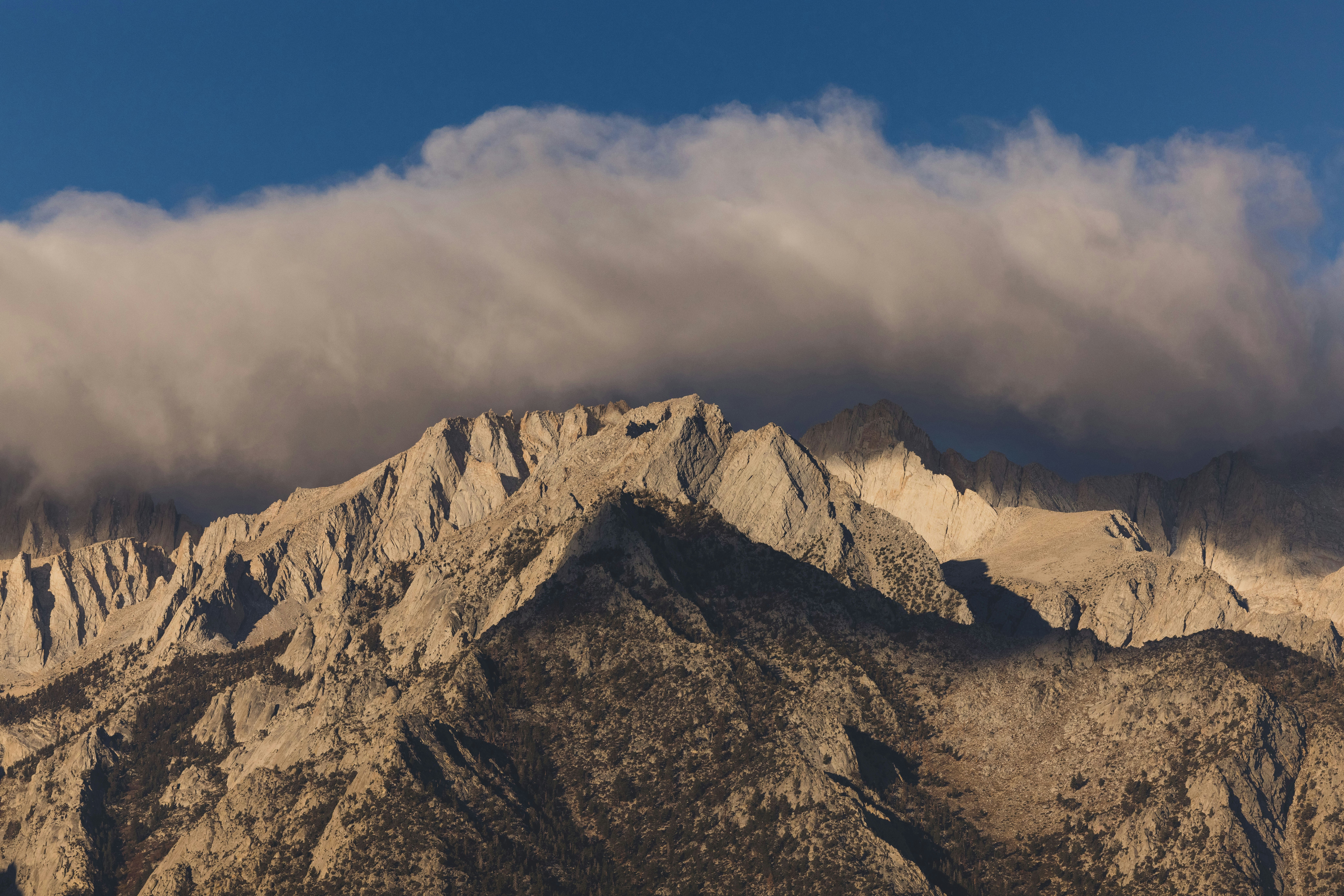 Photo by leo_visions_