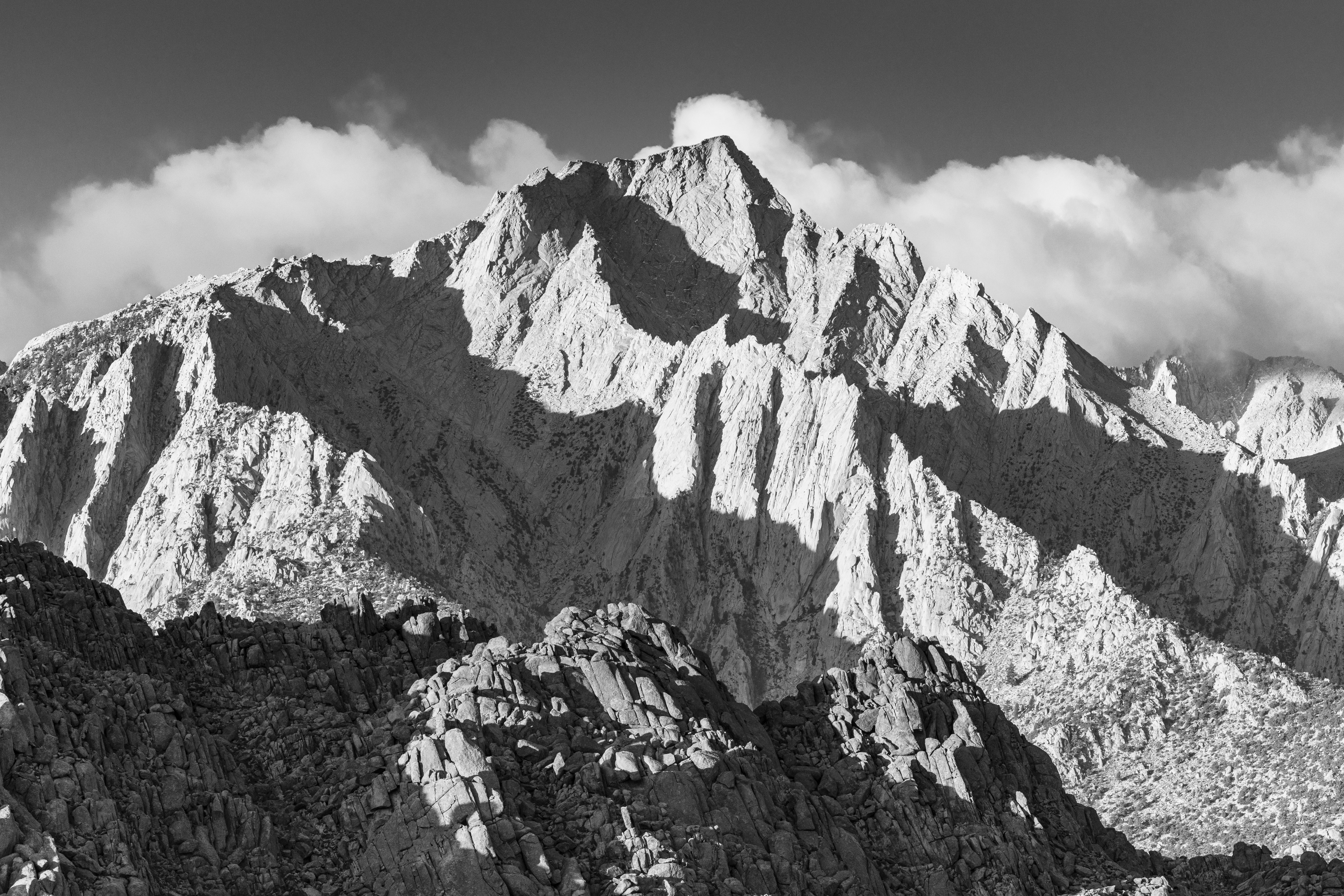 Photo by leo_visions_