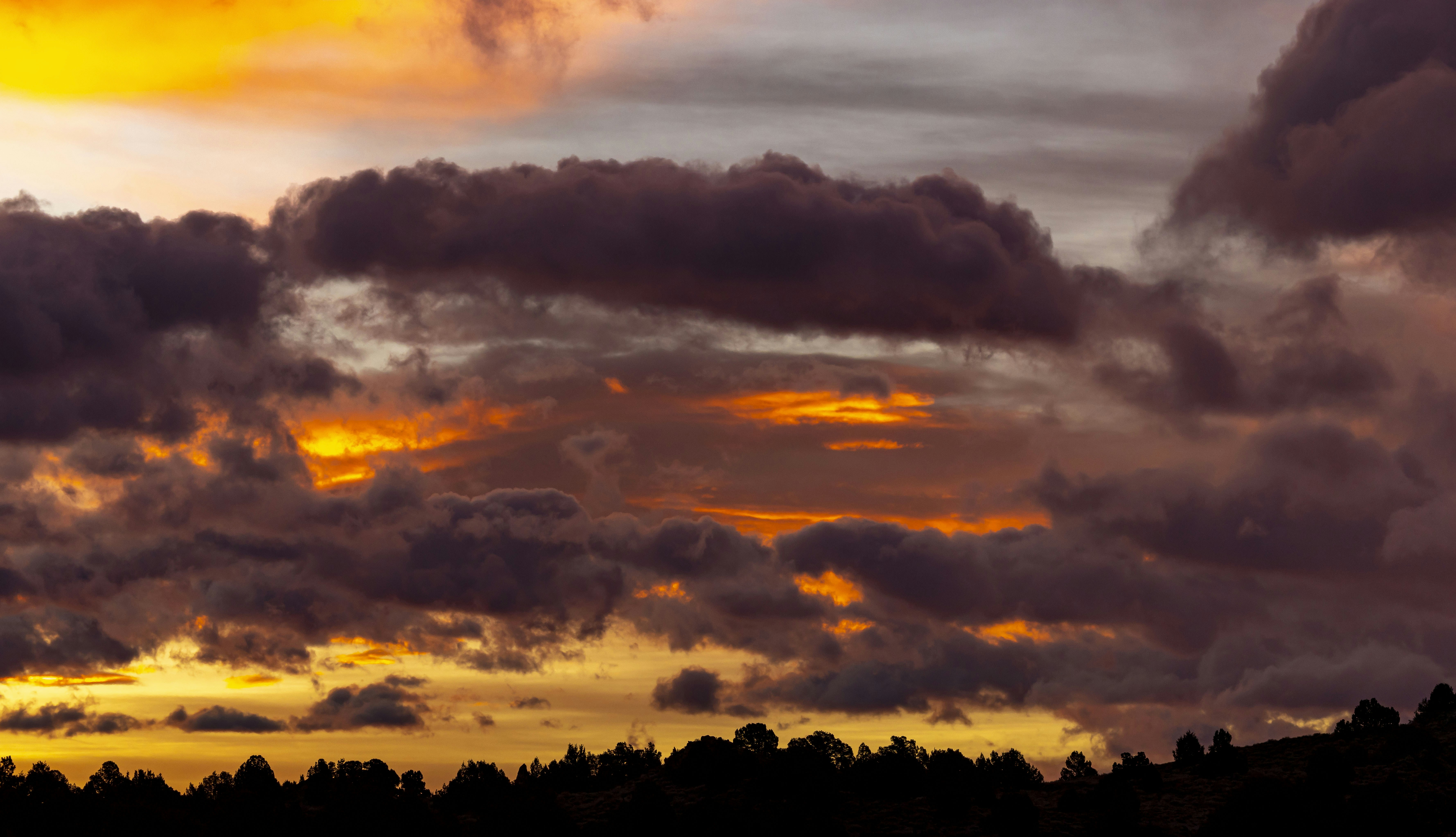 Photo by leo_visions_