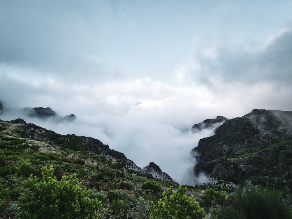 a mountain covered in fog and low lying clouds