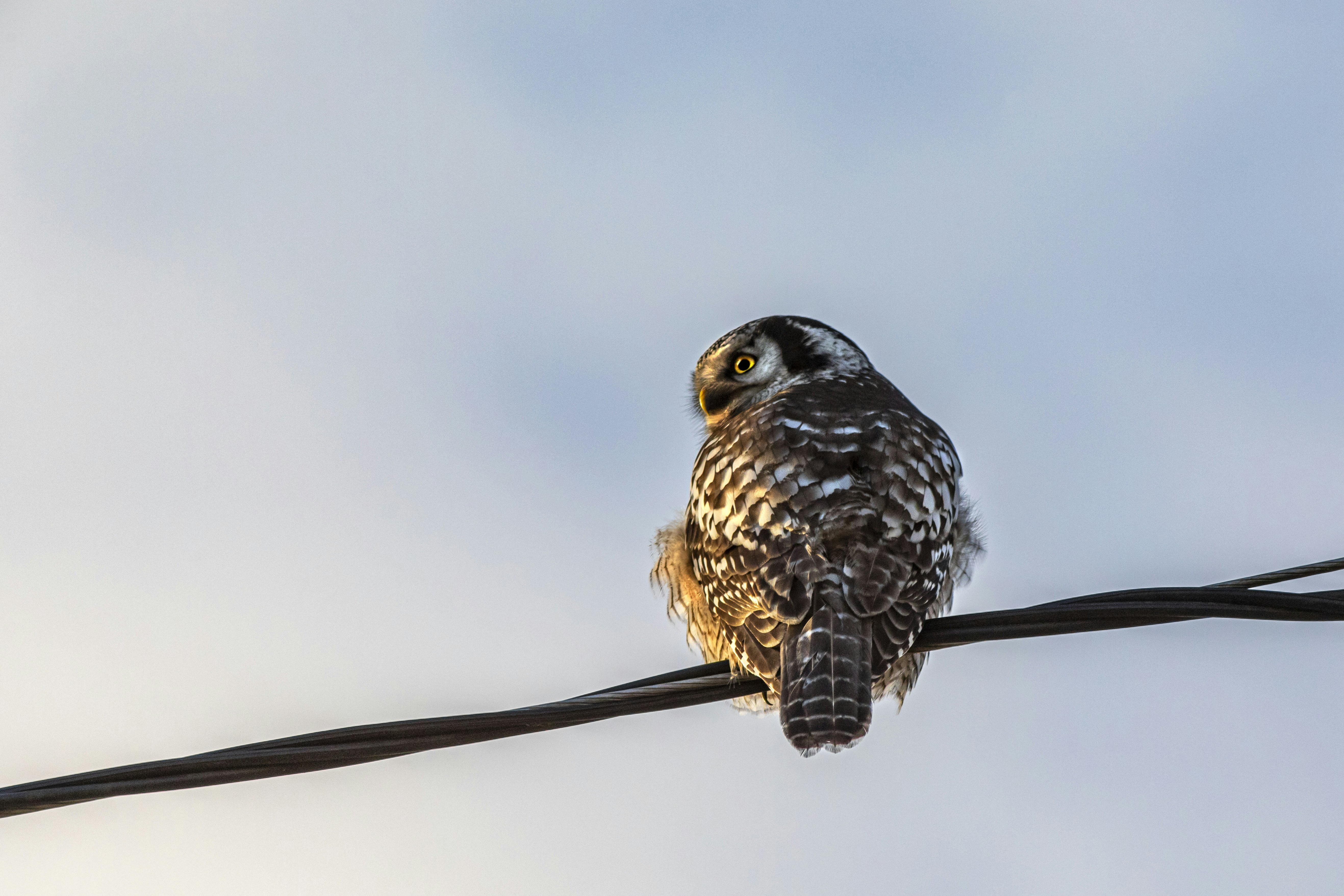 Photo by erik_karits