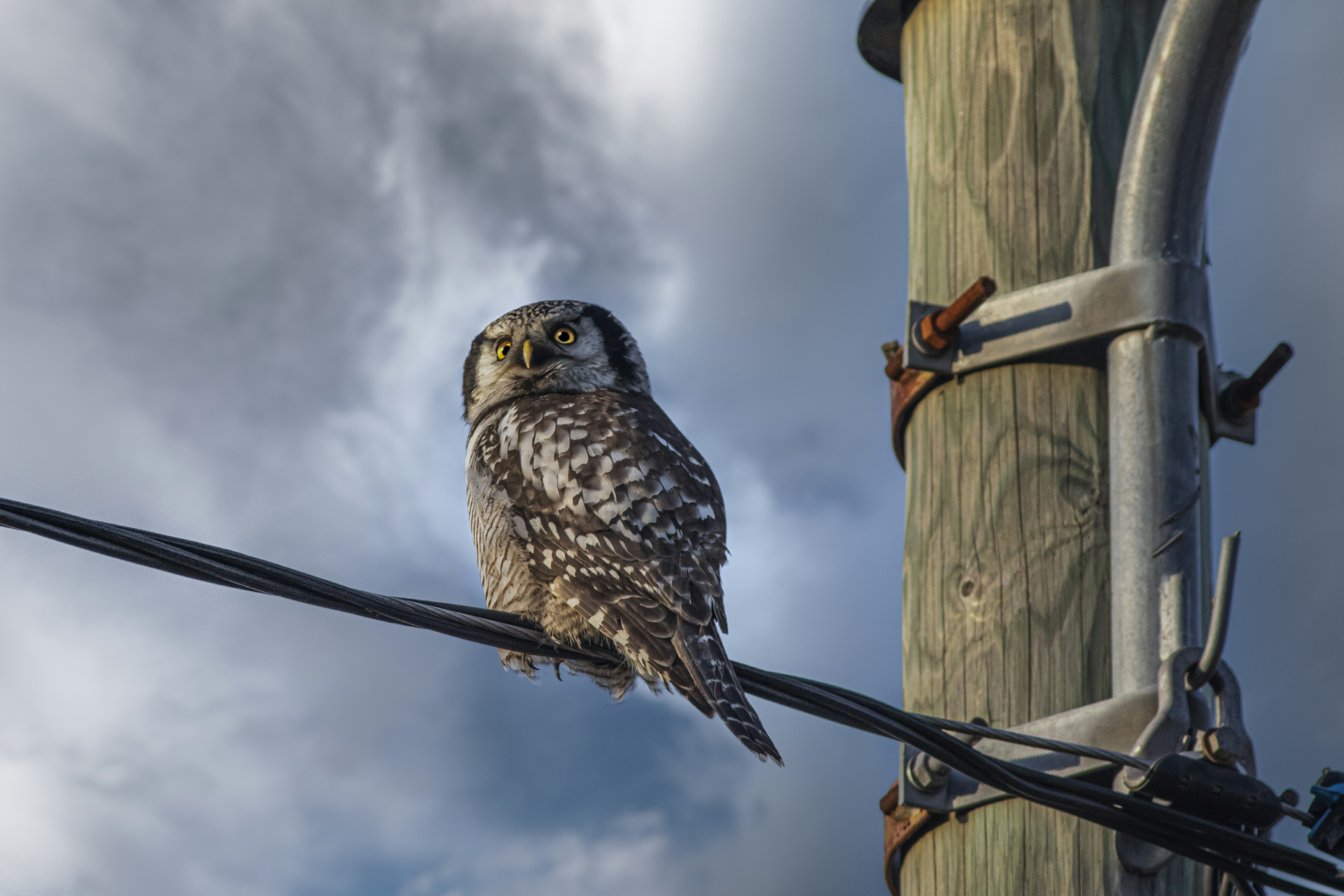 Photo by erik_karits