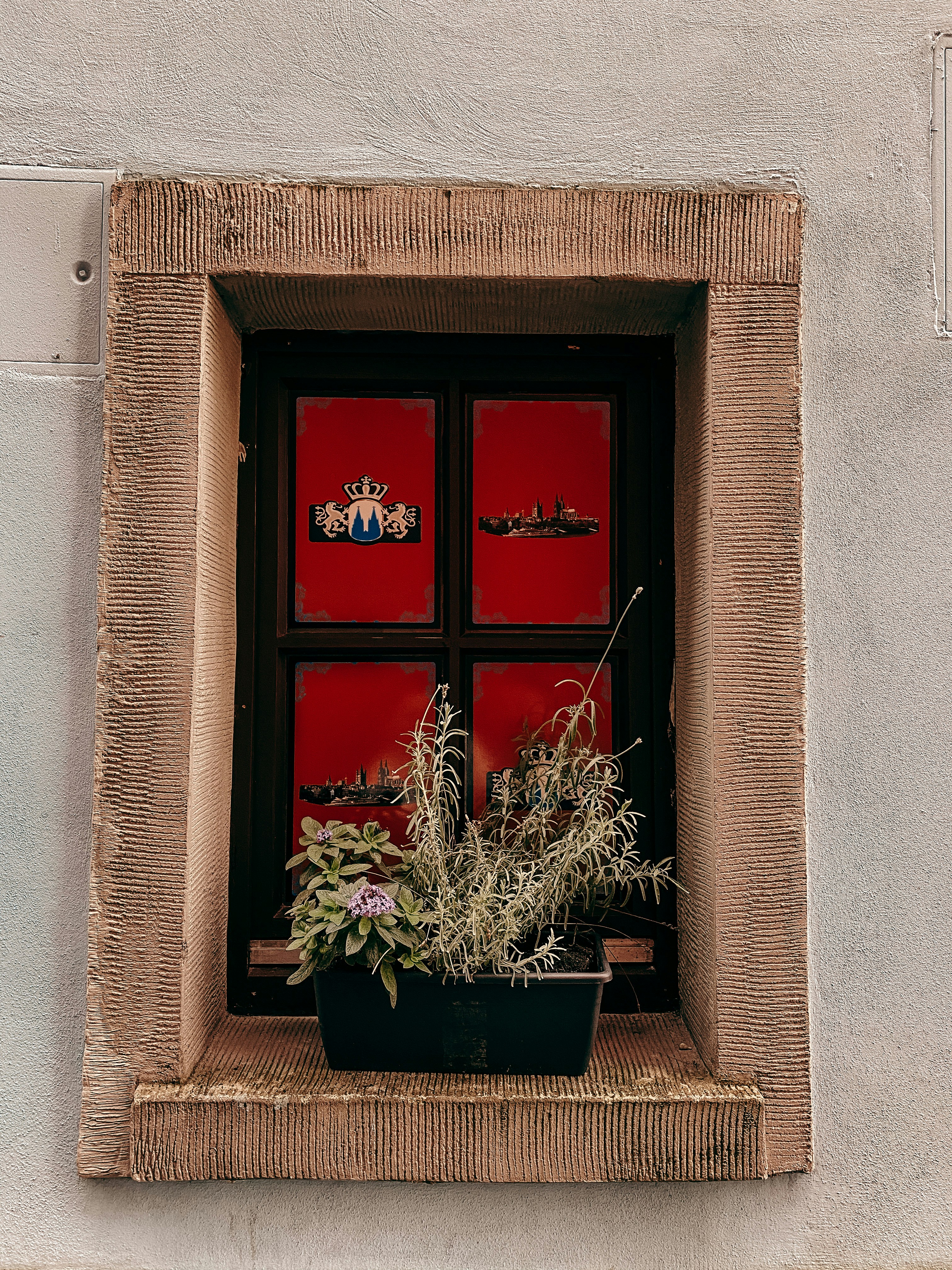 Photo by anastsiia_voitenko