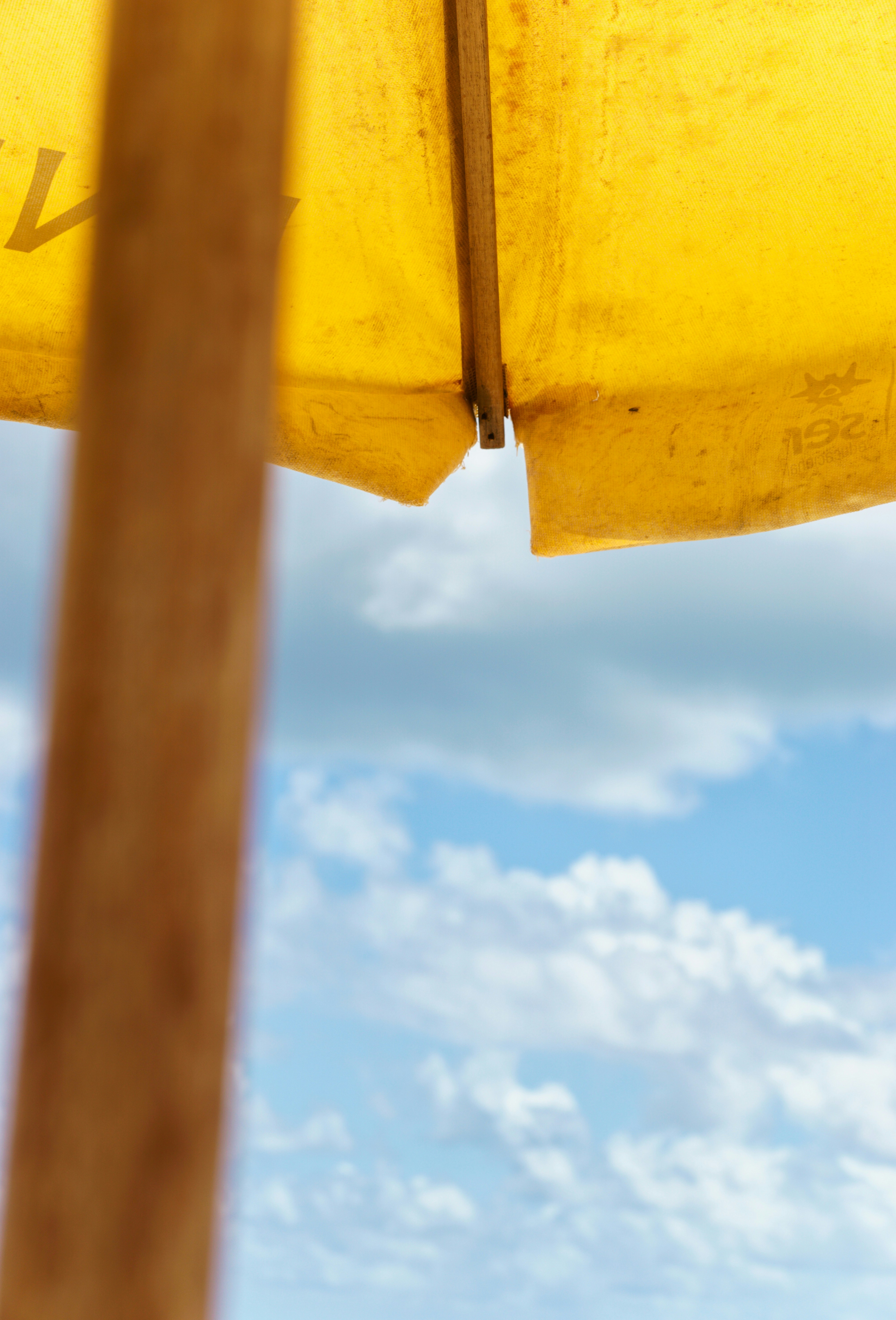 Photo by samucabarbosa