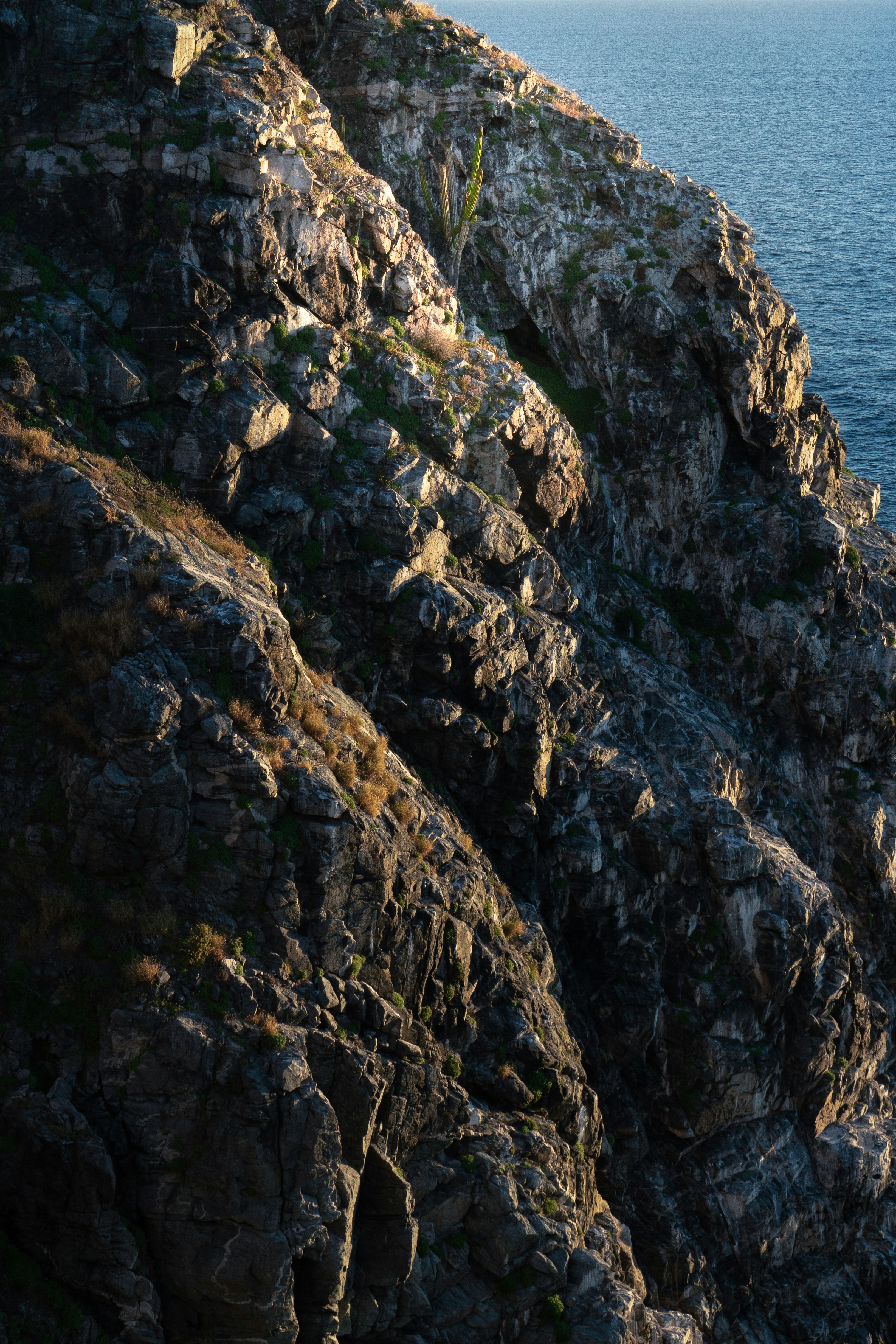 Photo by intricateexplorer