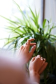 A woman’s hand adorned with stacked rings, gently holding a blooming flower in natural sunlight.