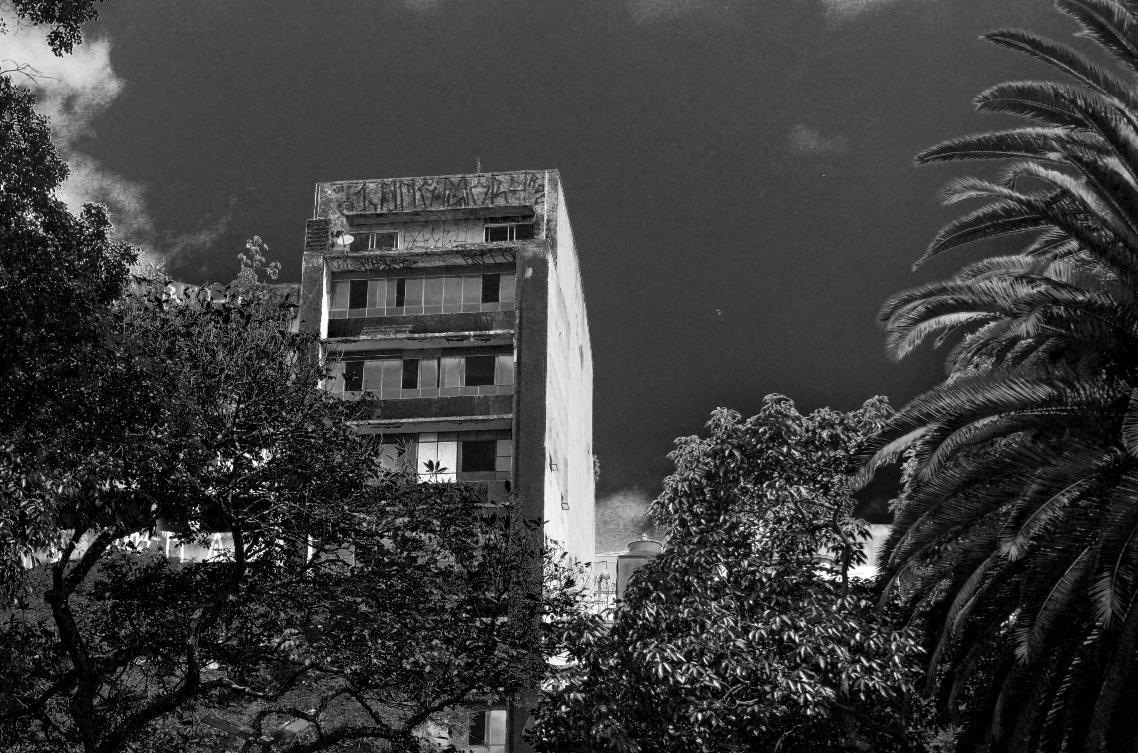 Photo by andersonnikon