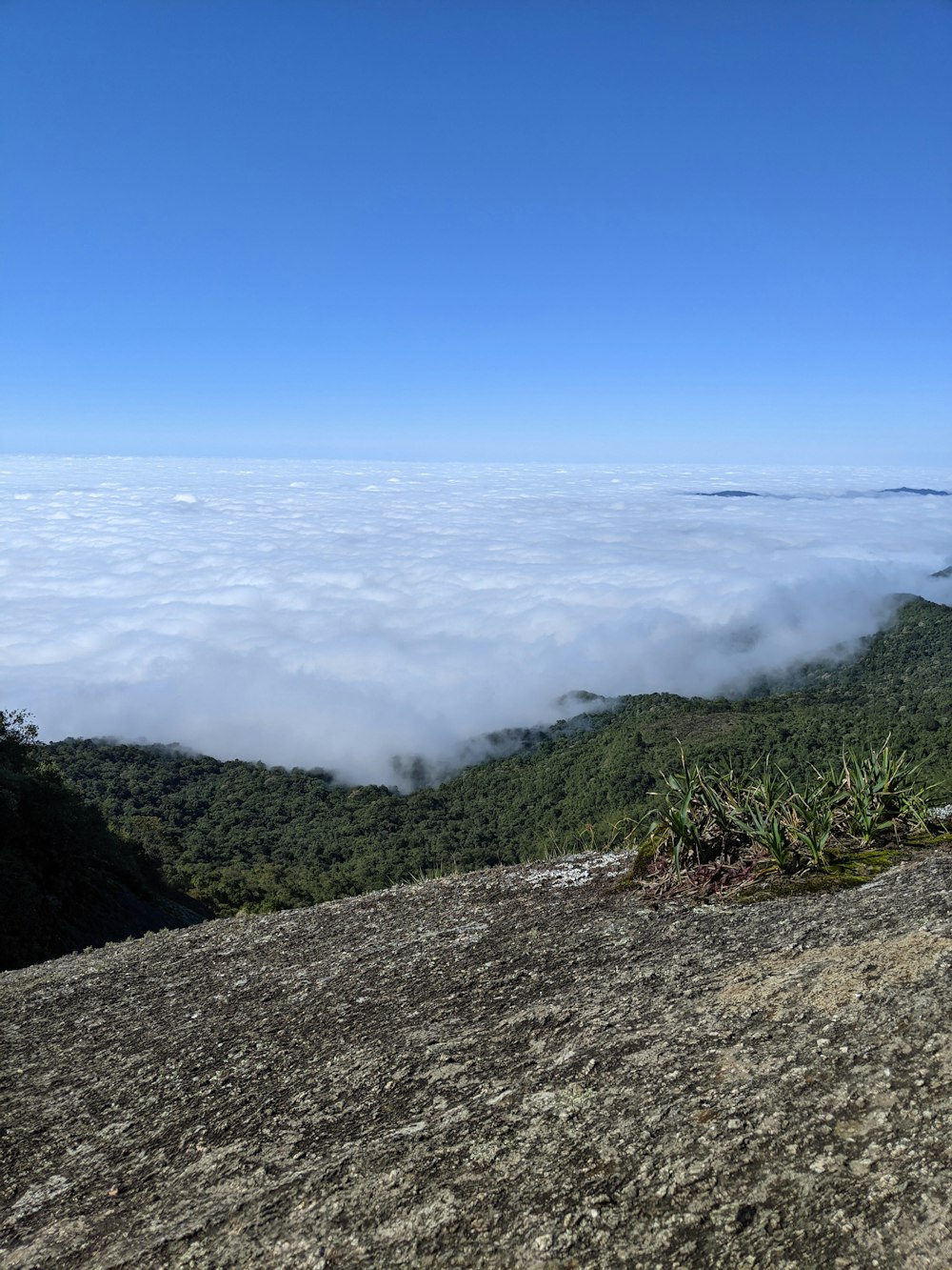 the view from the top of a mountain in the clouds