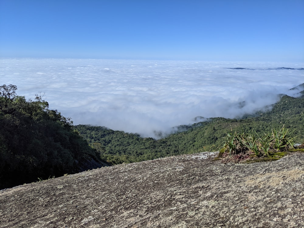 the view from the top of a mountain above the clouds