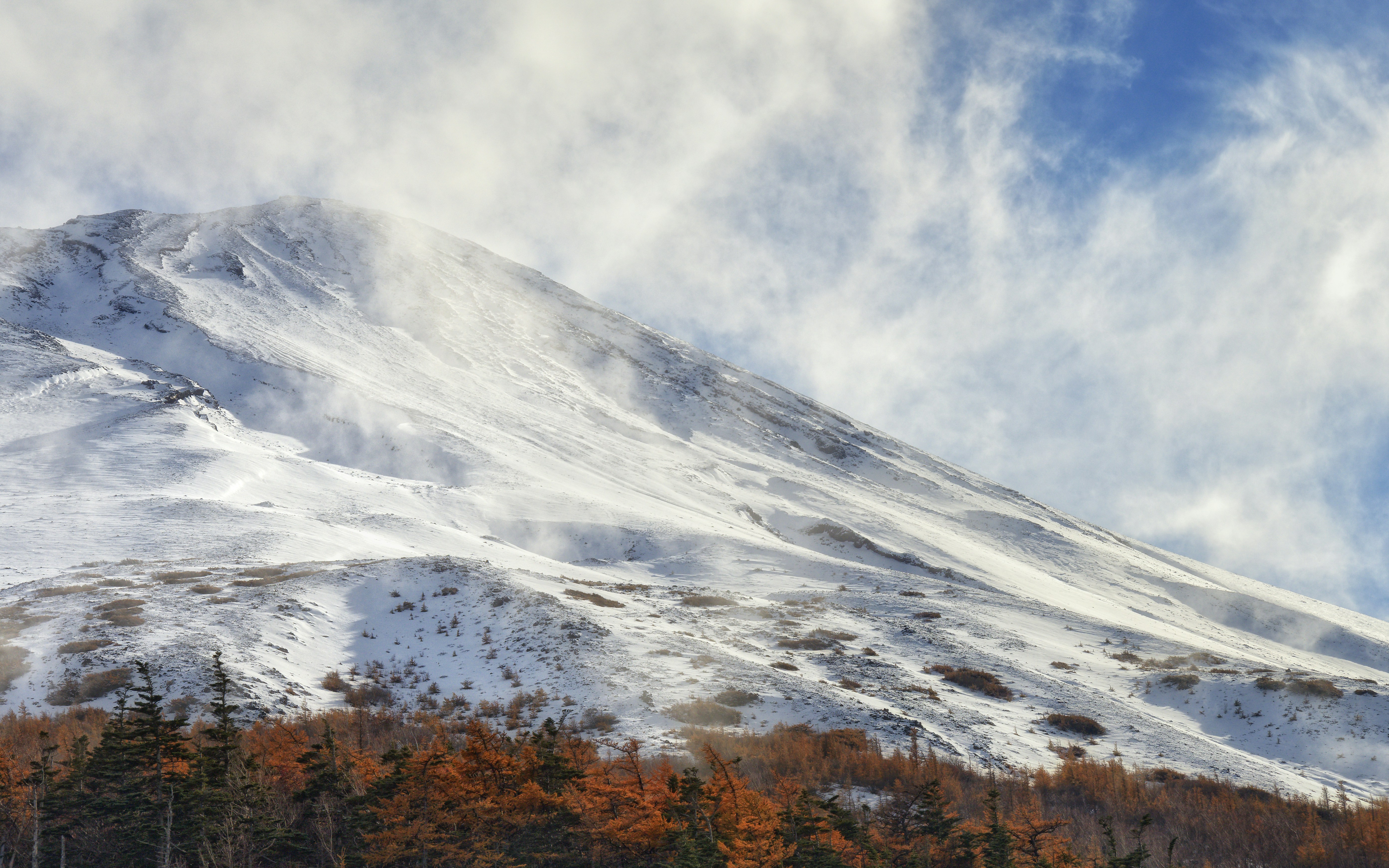 A snow covered mountain with trees in the foreground photo – Free Grey ...