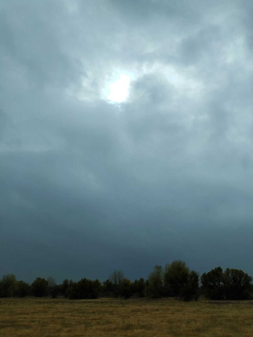 a large field with trees and a cloudy sky