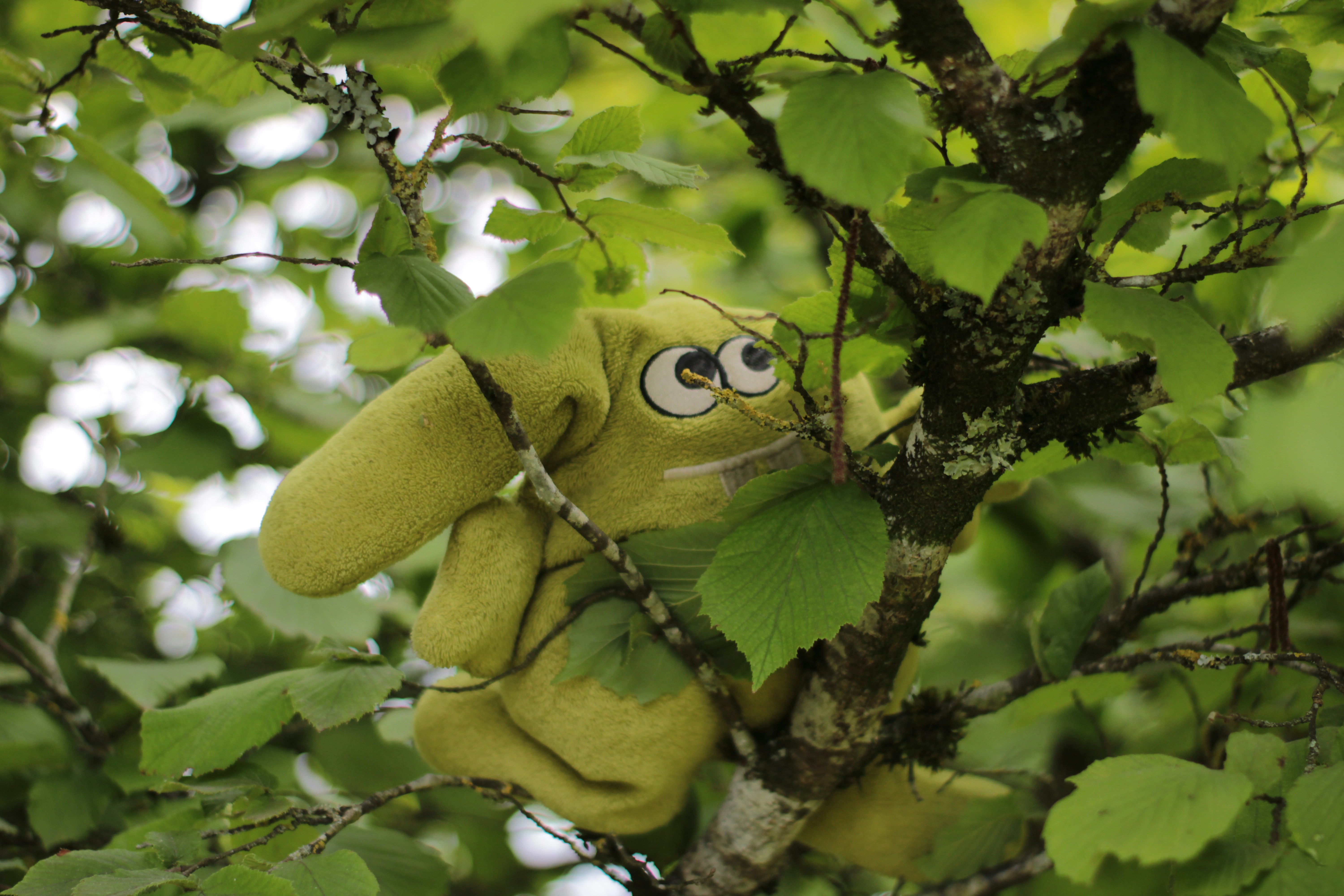 Photo by gribouillevert