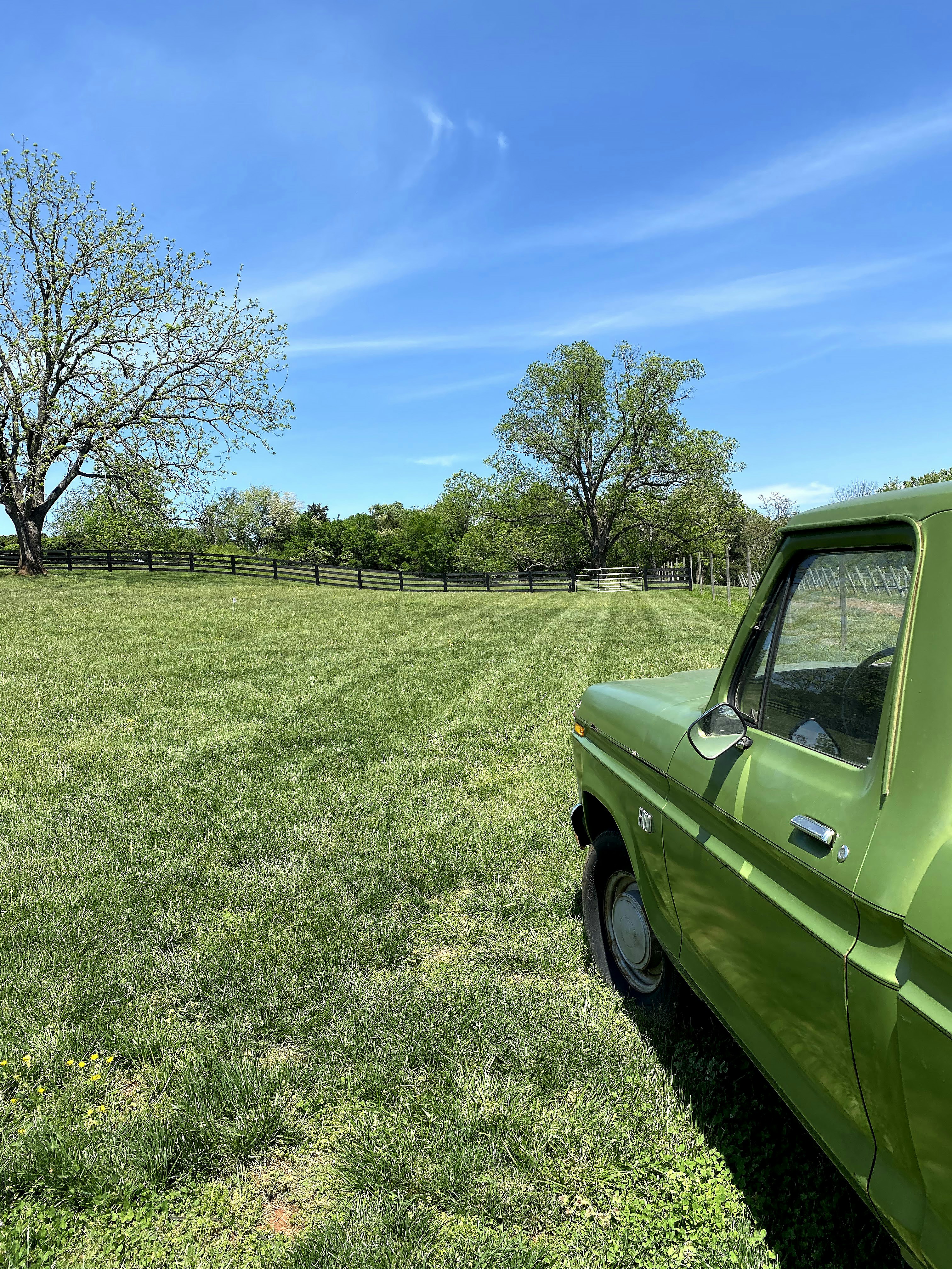 a green truck parked in a grassy field