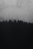 An abstract landscape features a silhouette of trees against a gradient sky, transitioning from dark to light gray tones. The scene is minimalist, with the tree line creating a jagged contrast with the foggy background.