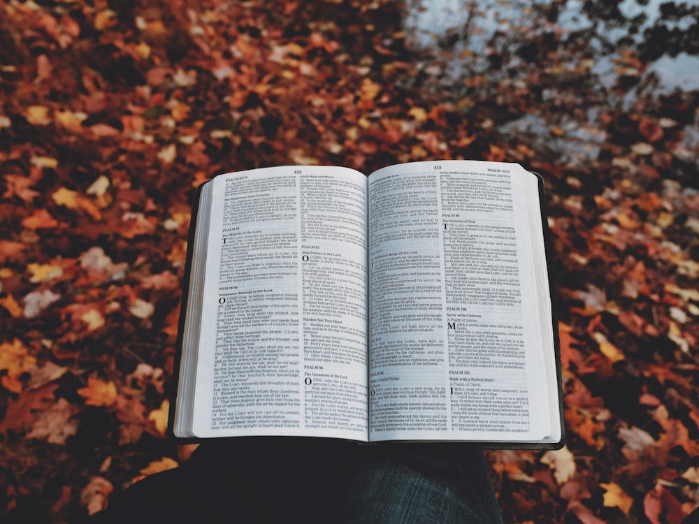 an open book sitting on top of a leaf covered ground